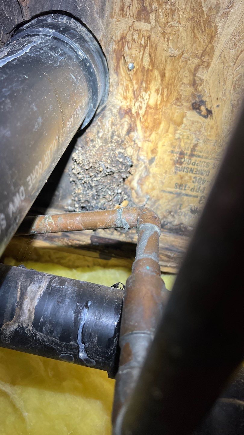 Mold Remediation by Accountable Home Services