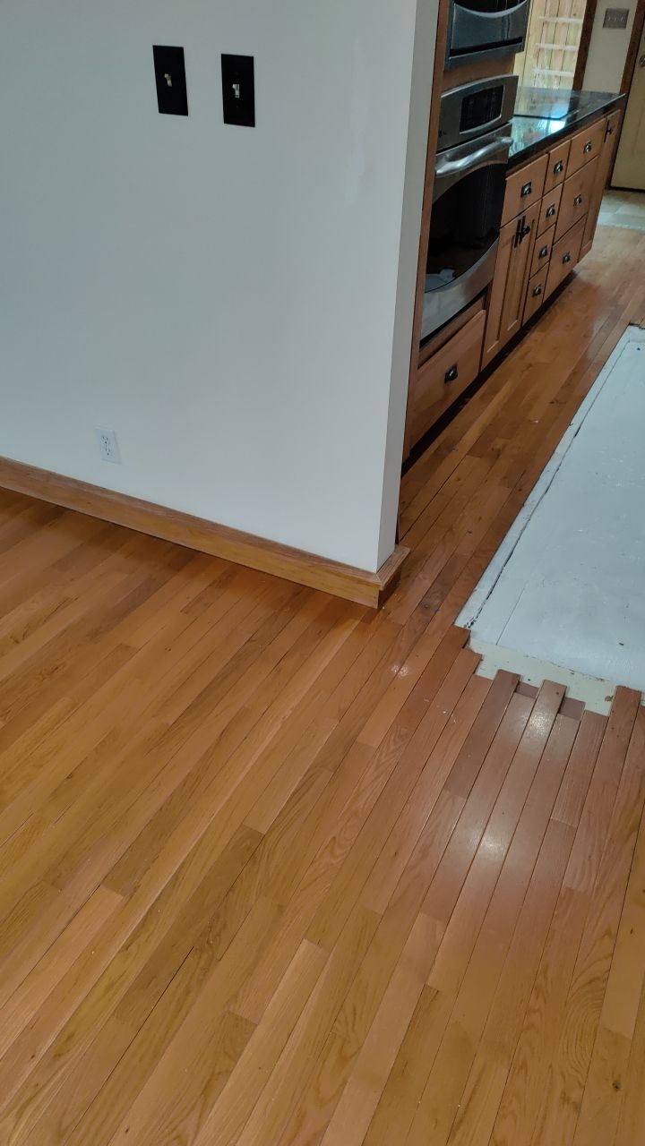 Mold Damage by Accountable Home Services