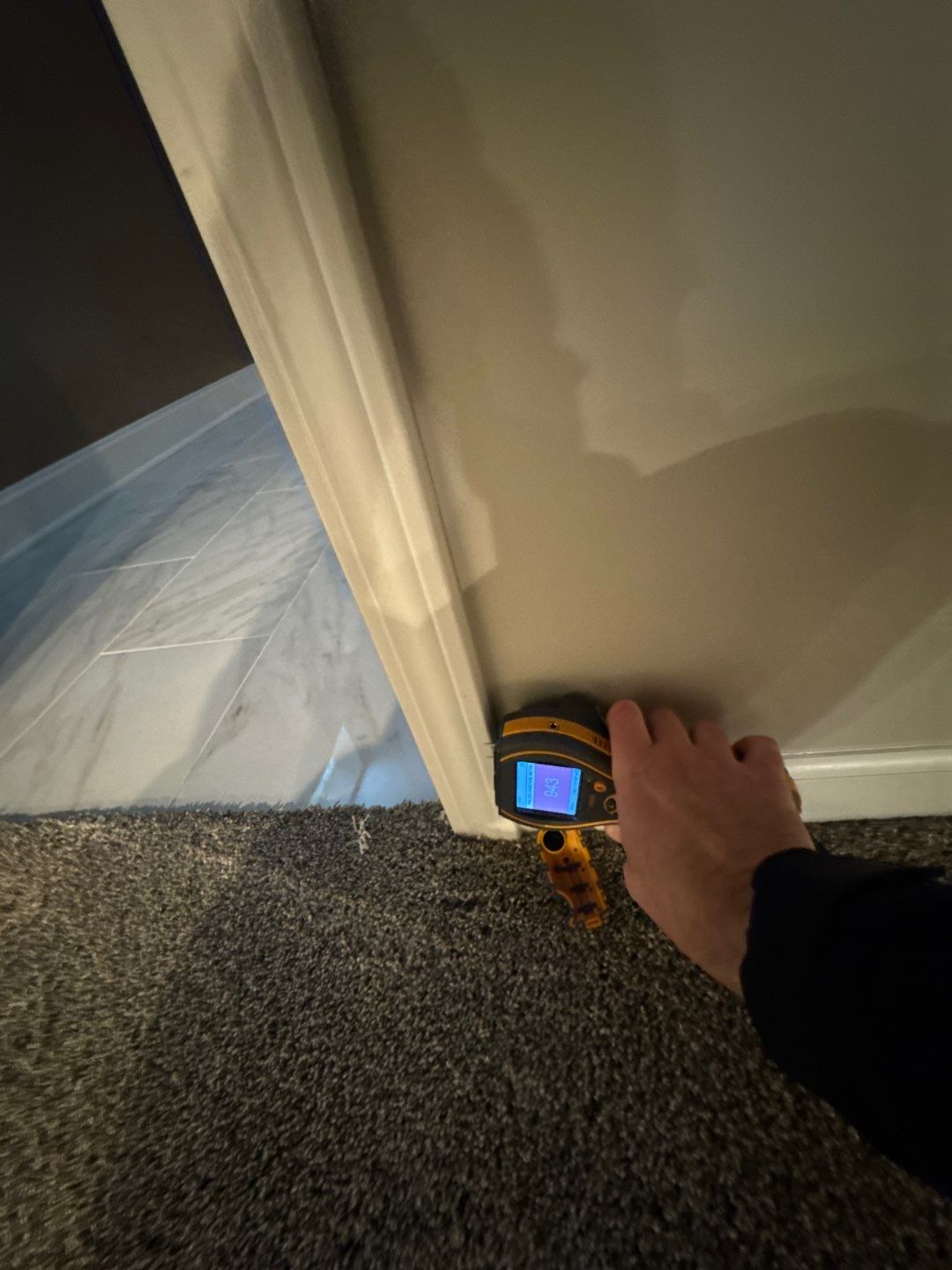 Project in Royal Oak by EzDry Water Mitigation & Property Restoration