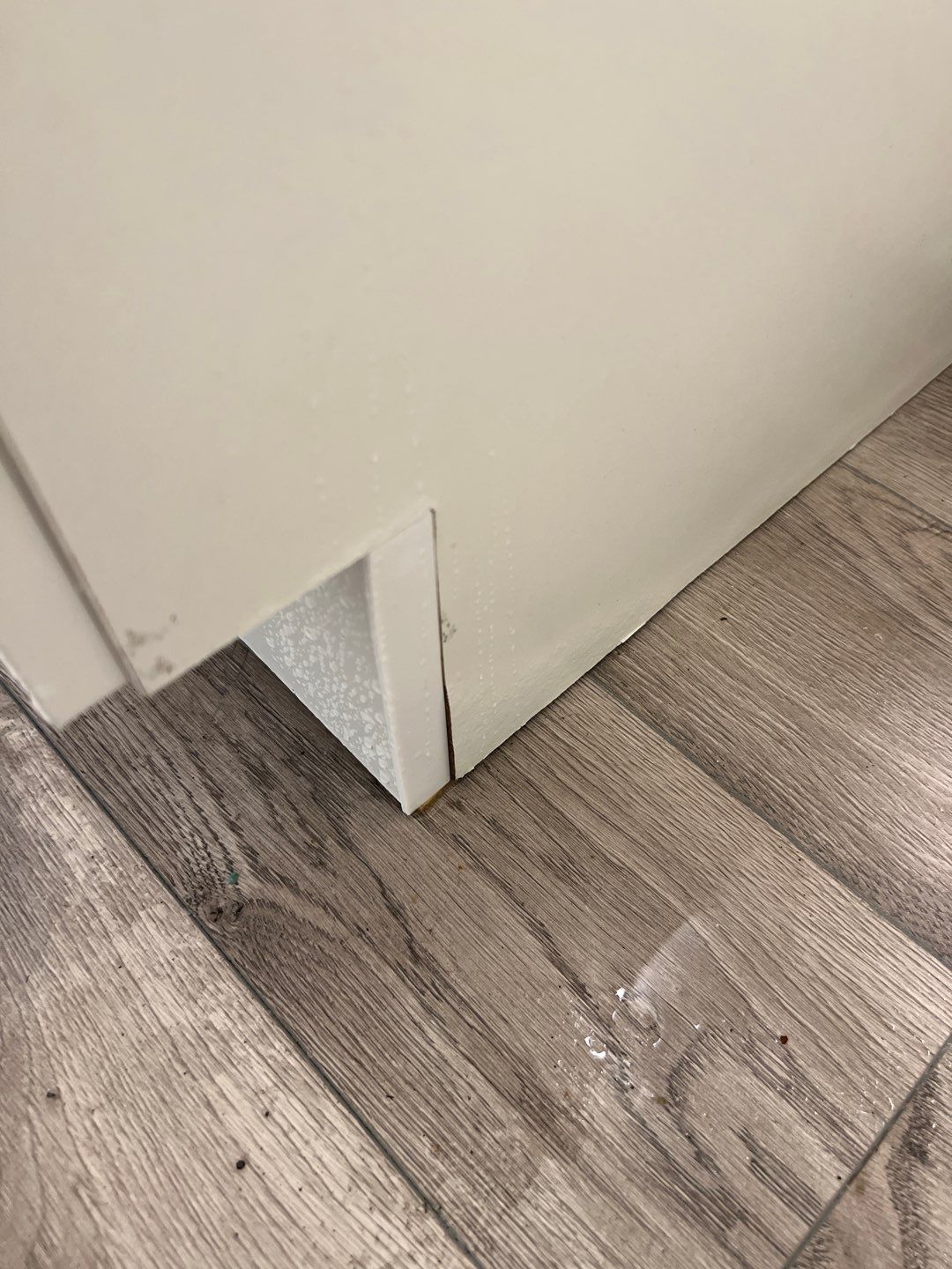 Project in Novi by EzDry Water Mitigation & Property Restoration