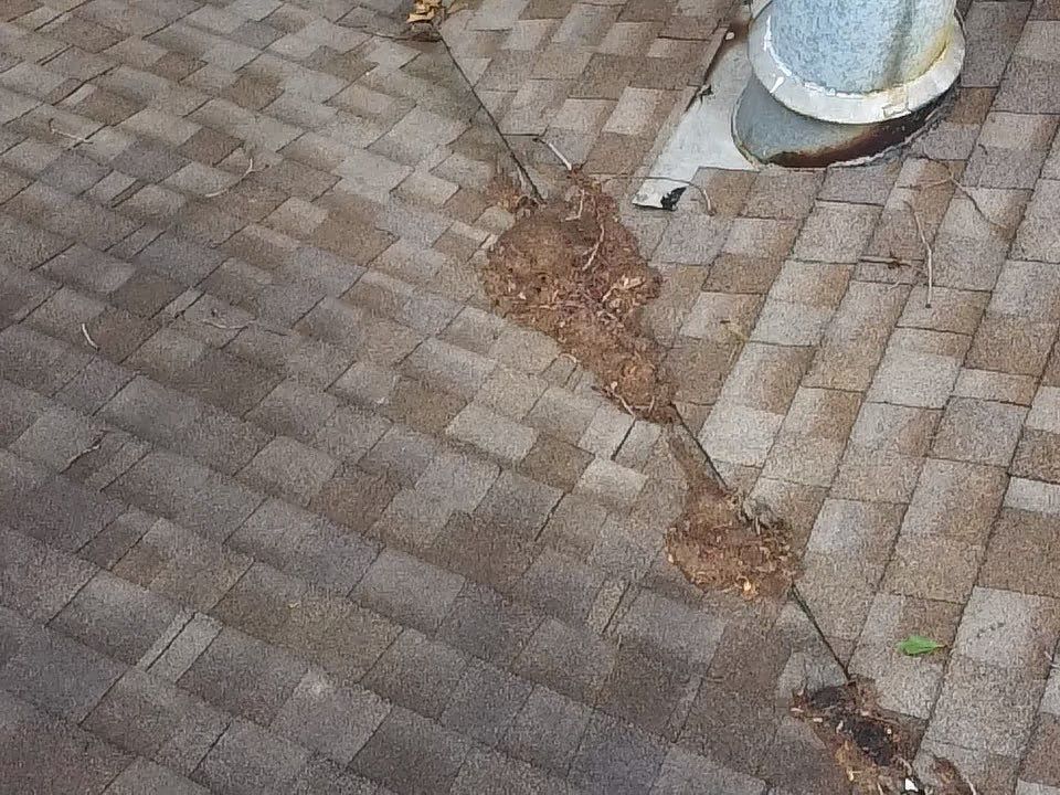 Project in  Richmond by Roof Maxx of Midlothian