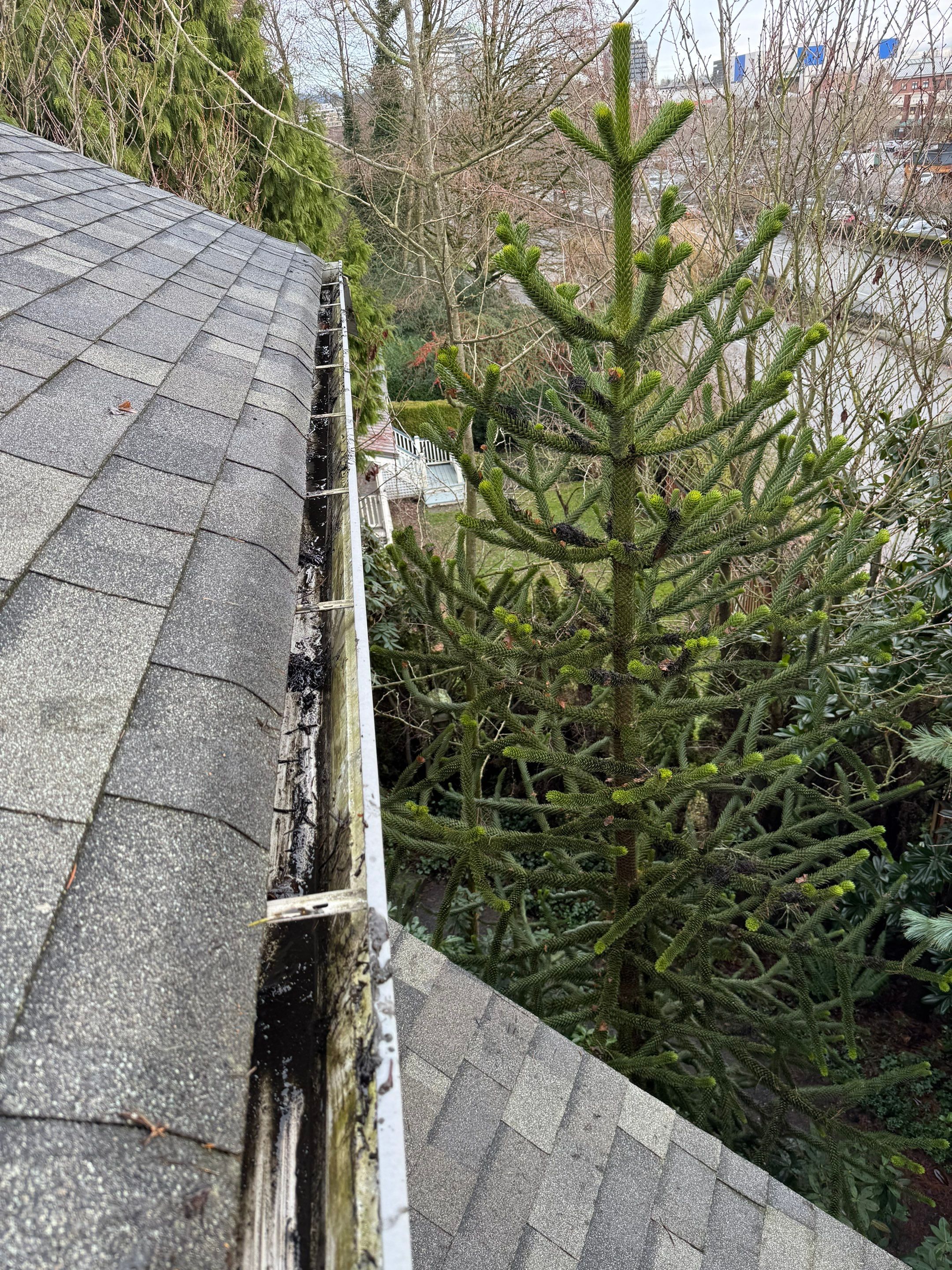 Gutter Cleaning by YVR Construction Group