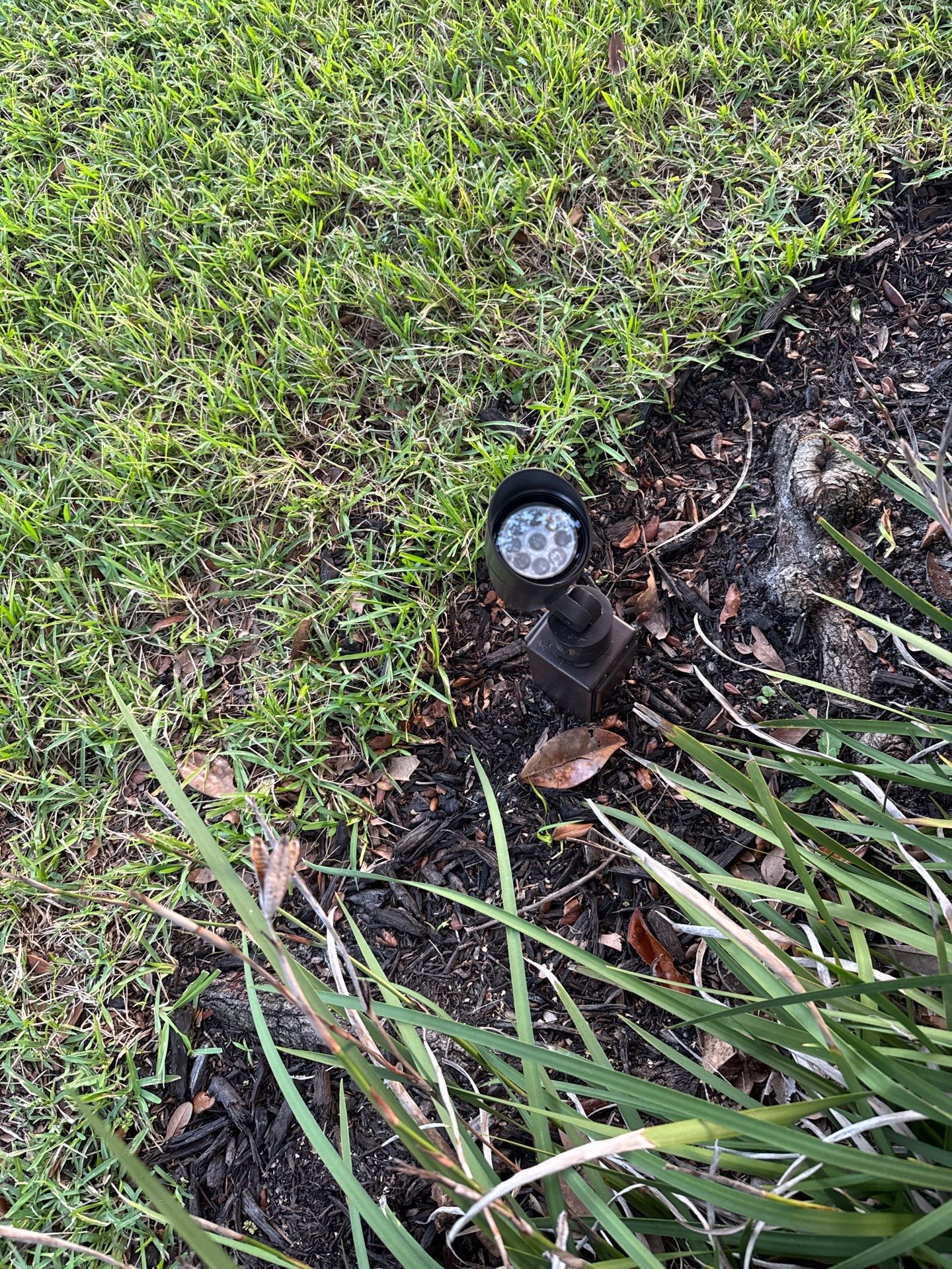 Landscape Lighting Upgrade | Orlando, FL 34761 by Smartron Electric