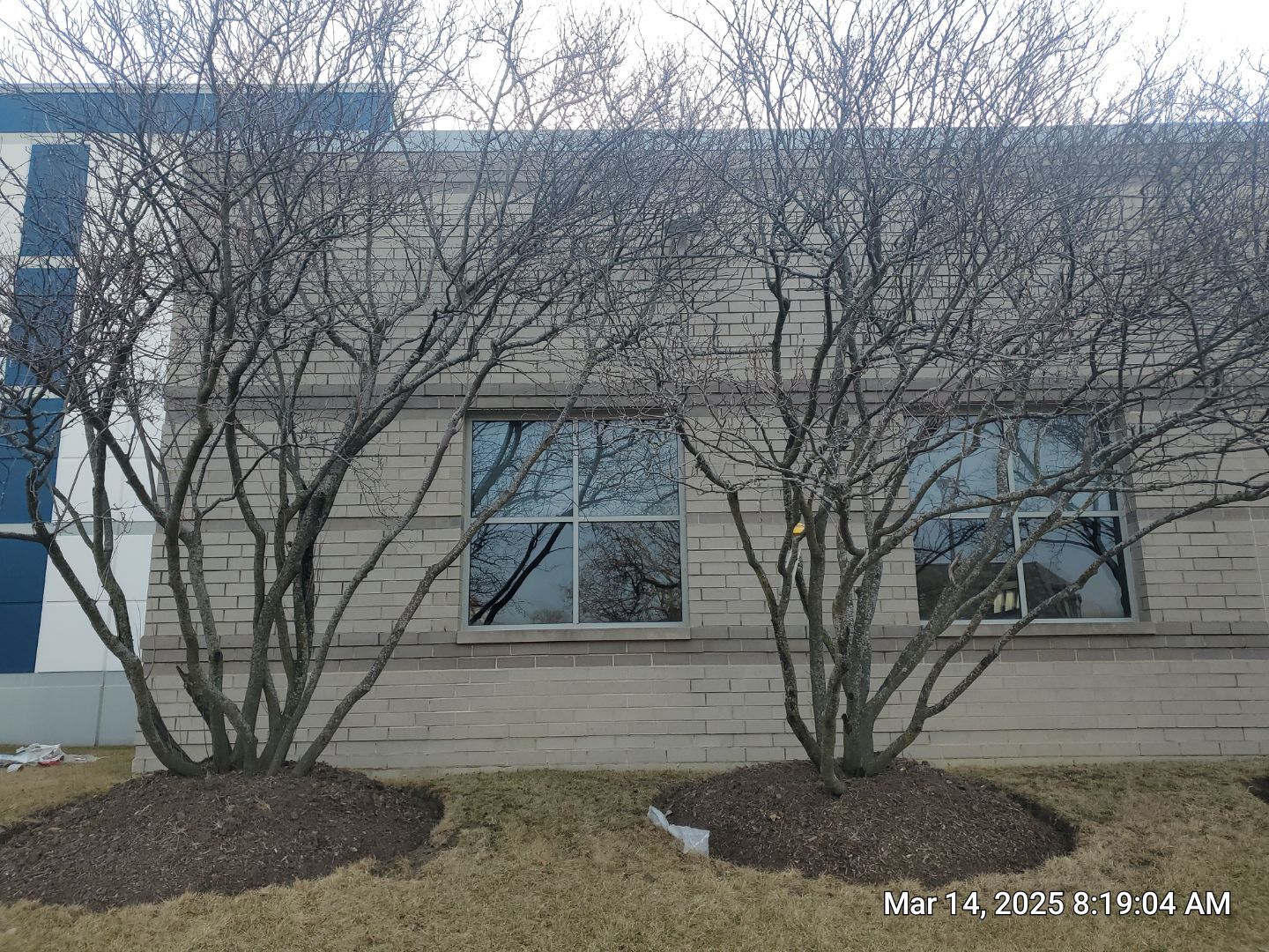 Commercial Facade cleaning using Algaecide, soft wash soap by Northern Power Washing LLC.