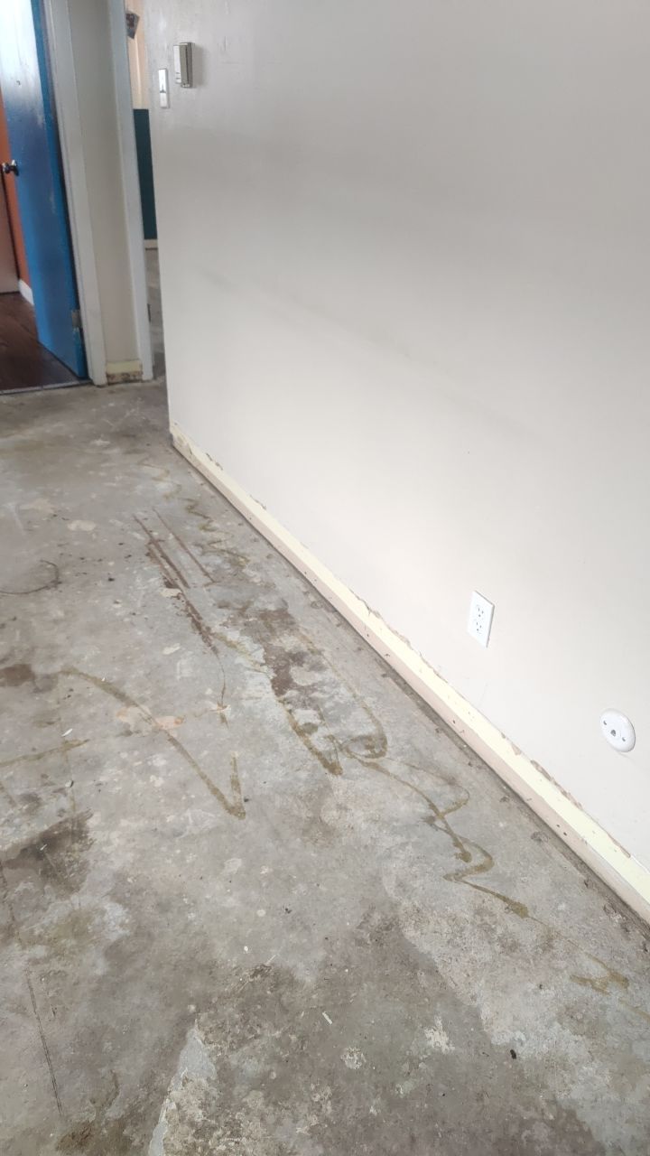 Mold Remediation by Accountable Home Services