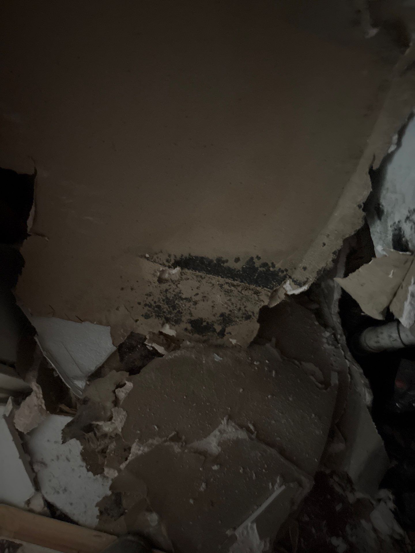 Water Damage Mitigation by All Dry Services of North Austin