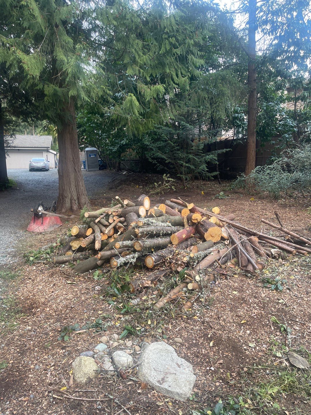 Tree Removal using Tree Removal by Mike Jones & Sons Tree Service LLC 
