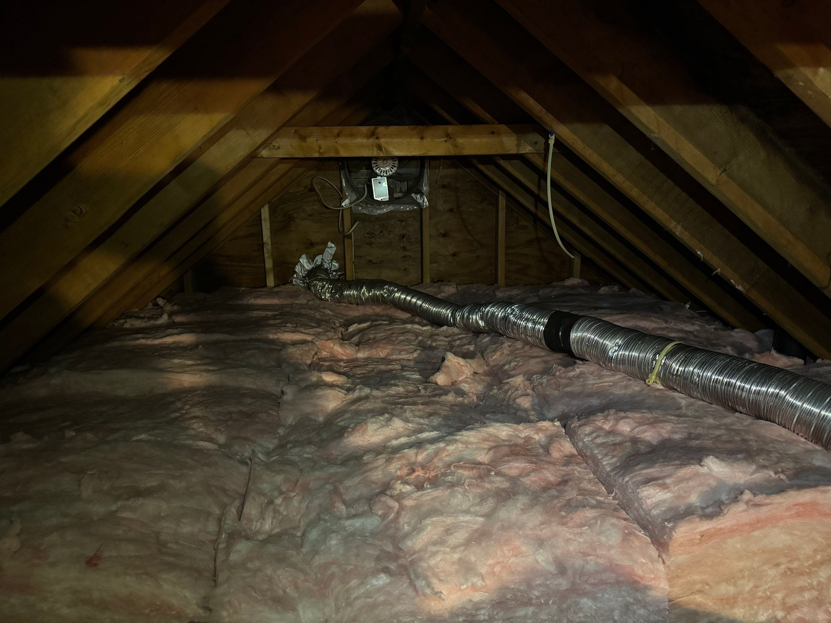 Attic Mold Remediation using Home Guarantee by Home Guarantee, LLC