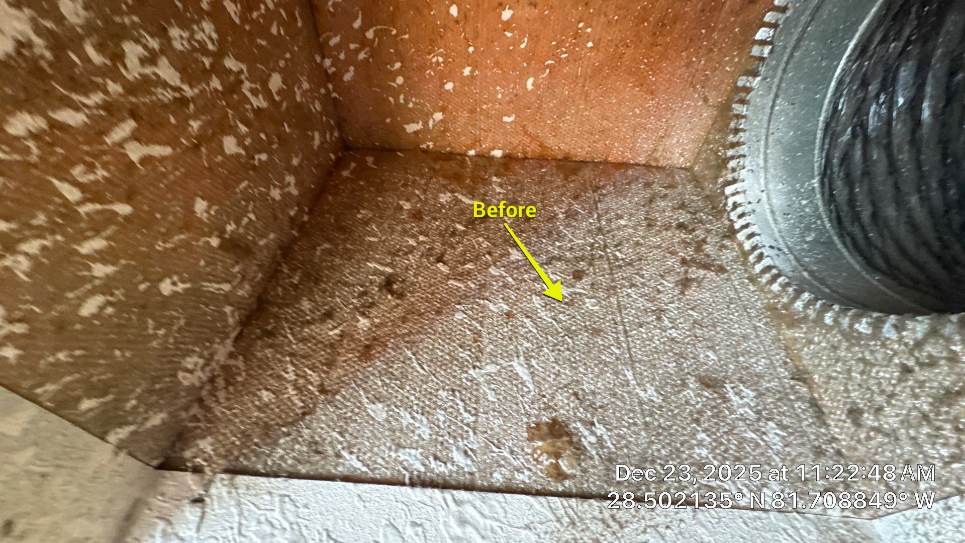 Air Duct Dryer Vent Cleaning Encapsulation Dryer Vent Repair in Clermont by Hygienic Air, Inc