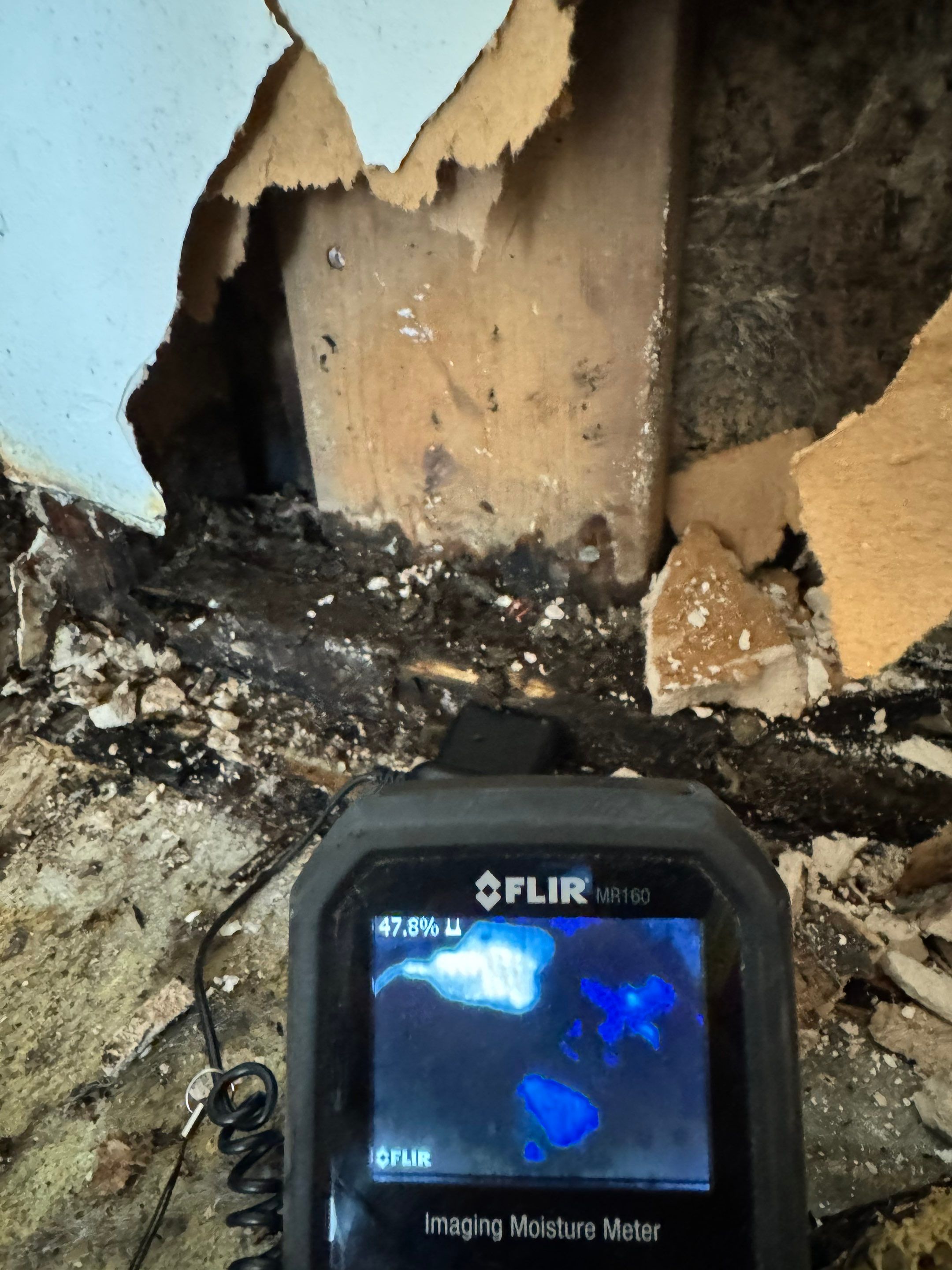 Major Basement Remediation / Restoration by Home Guarantee, LLC