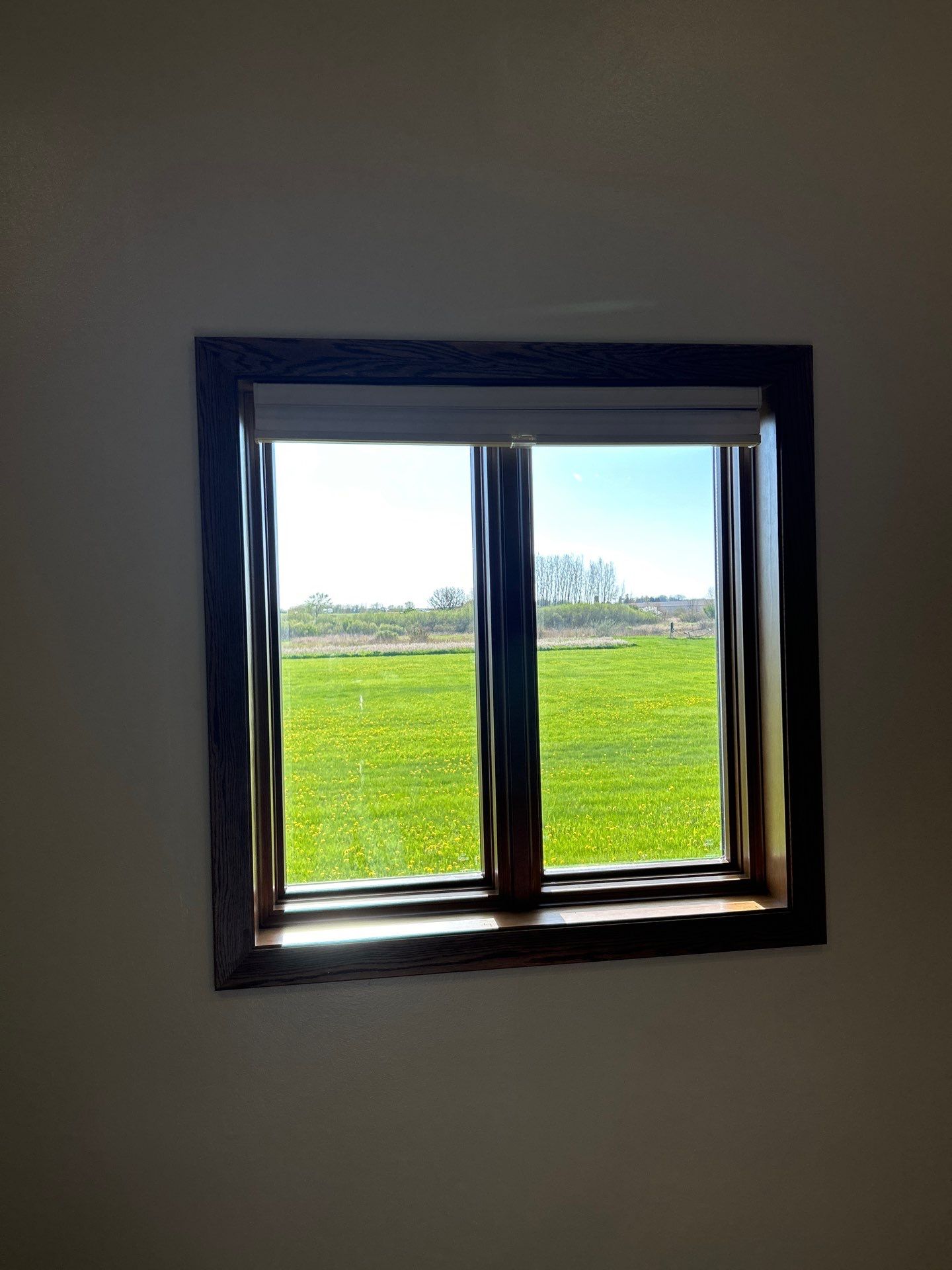 Window replacement using Pella Lifestyle wood/Aluminum window by United Windows and Siding LLC