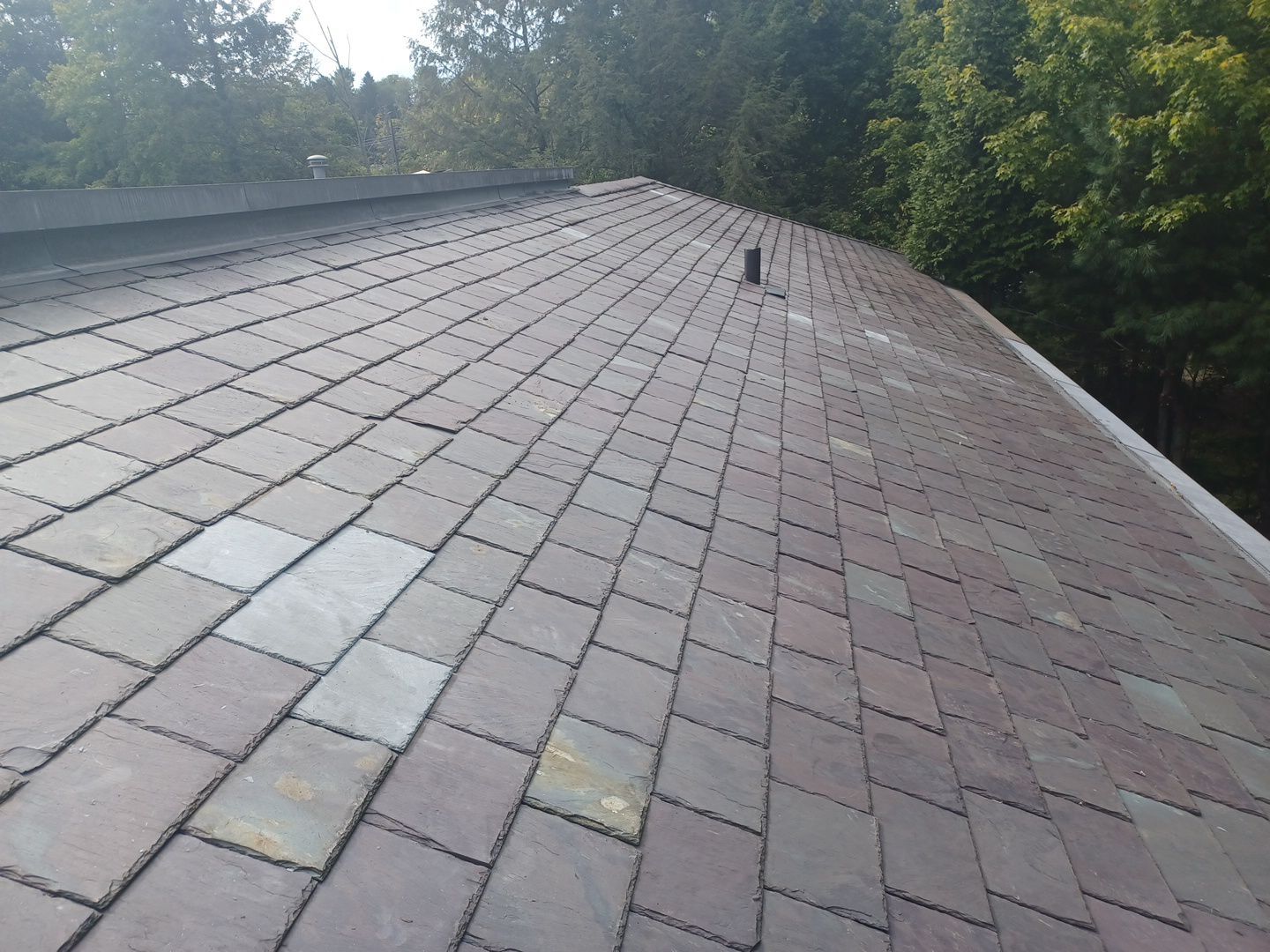 Frances Pantelides by Silver Leaf Contracting 