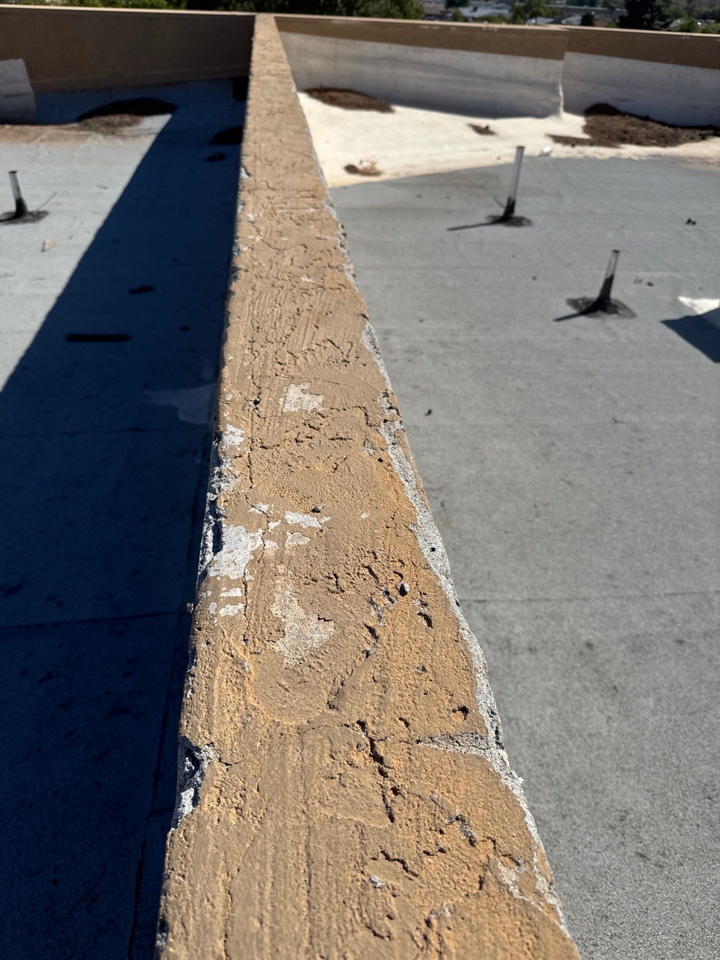 Project in Glendale by Crush Development Services LLC
