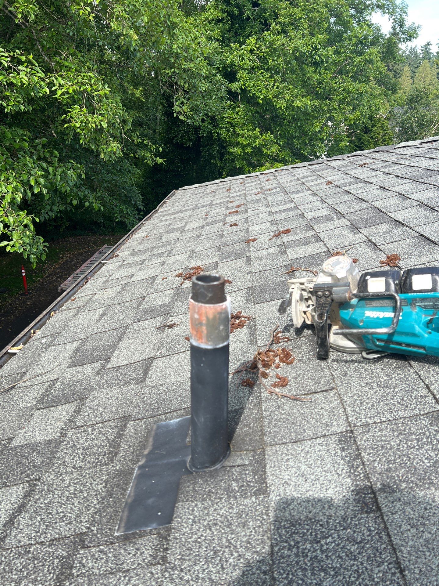 Project in Edmonds by Roofing Formula LLC