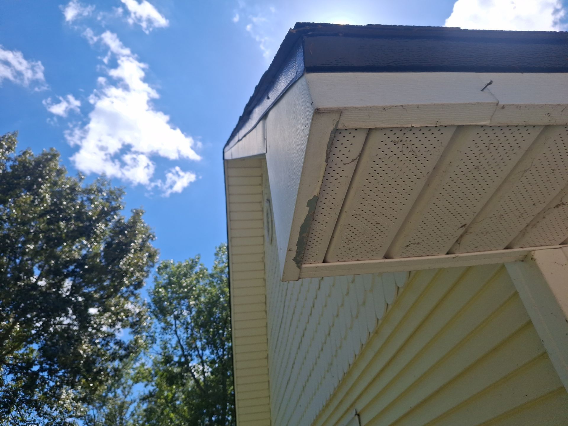 From Aged Yellow to Fresh Green in Frankston, Texas by Quality Coats Painting