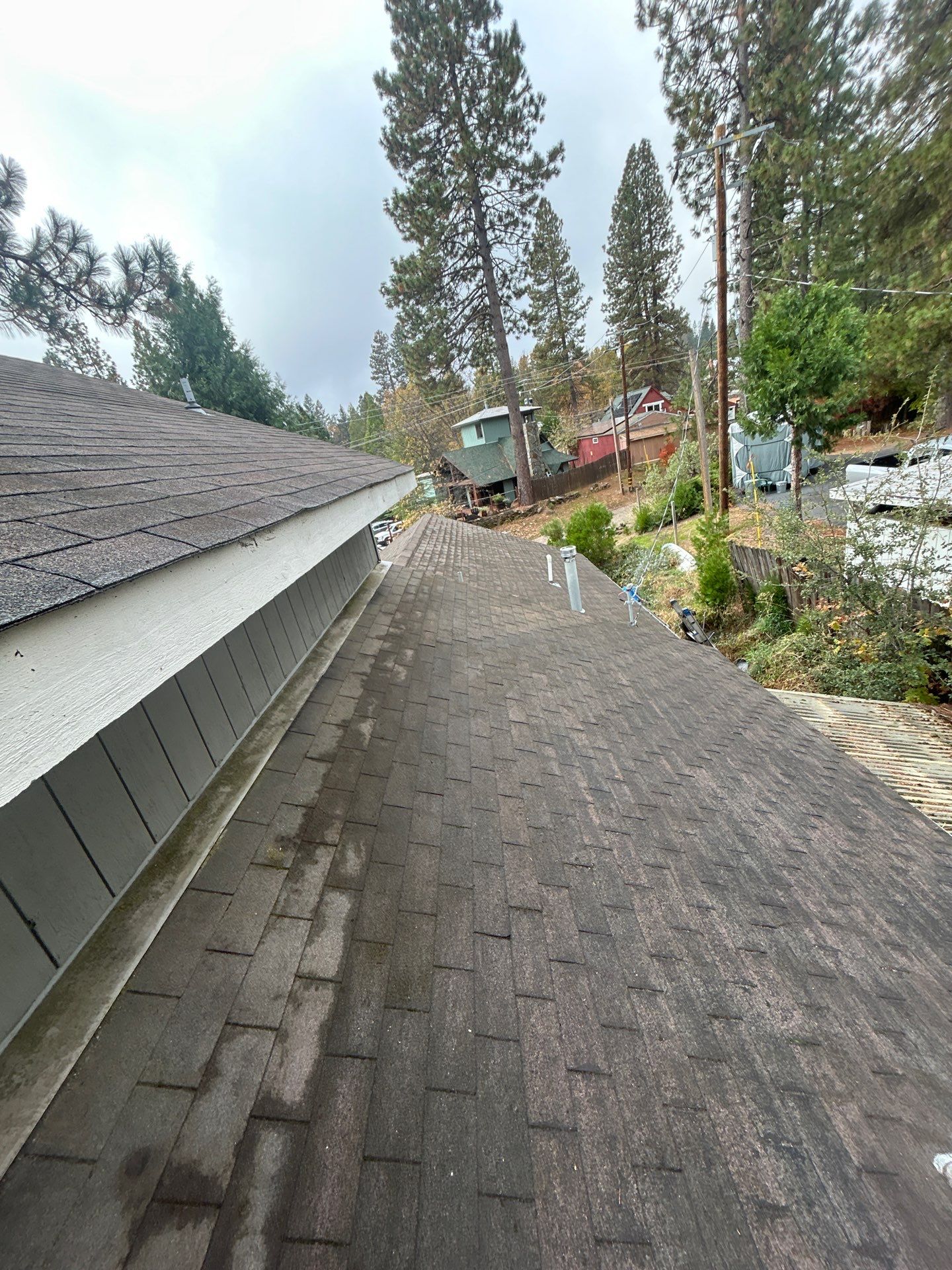 Roof Rejuvenation using Roof Maxx Treatment by Roof Maxx of Folsom