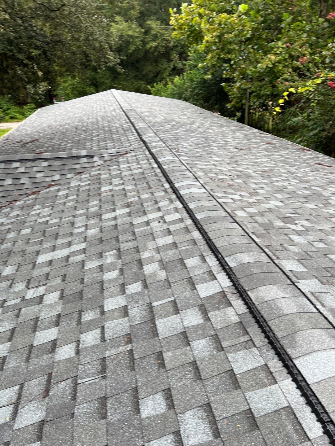 Shingle Reroof Replacement Altoona FL by Pinnacle Roofing Group