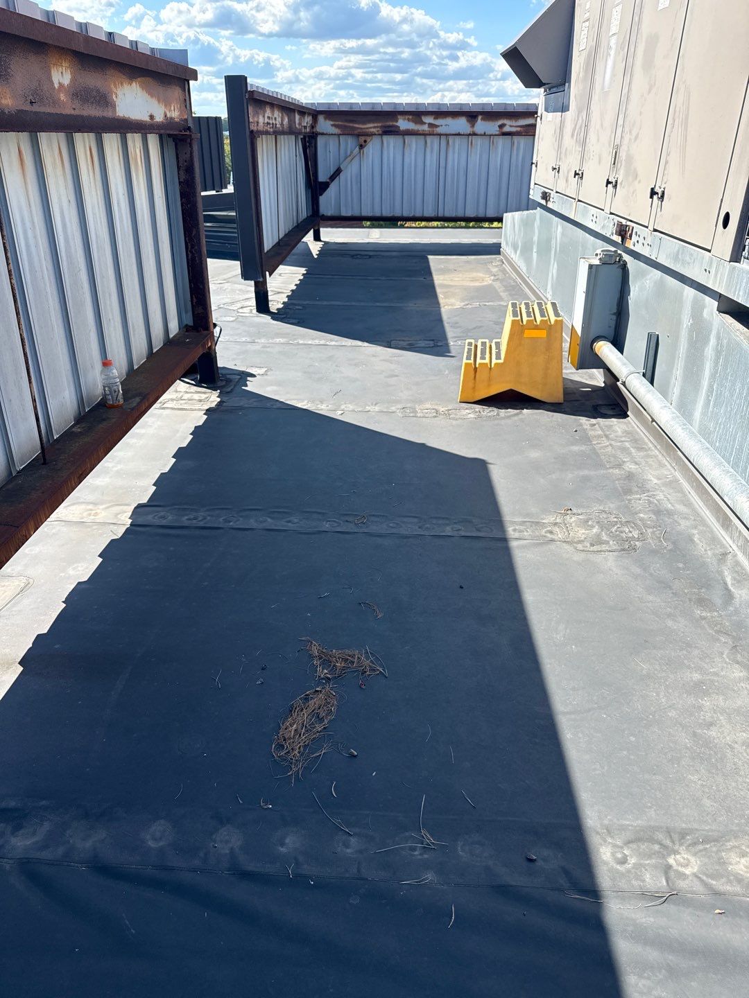 Commercial Roof Replacement – TPO Rhinobond System Installed at TD Bank by All Site Roofing