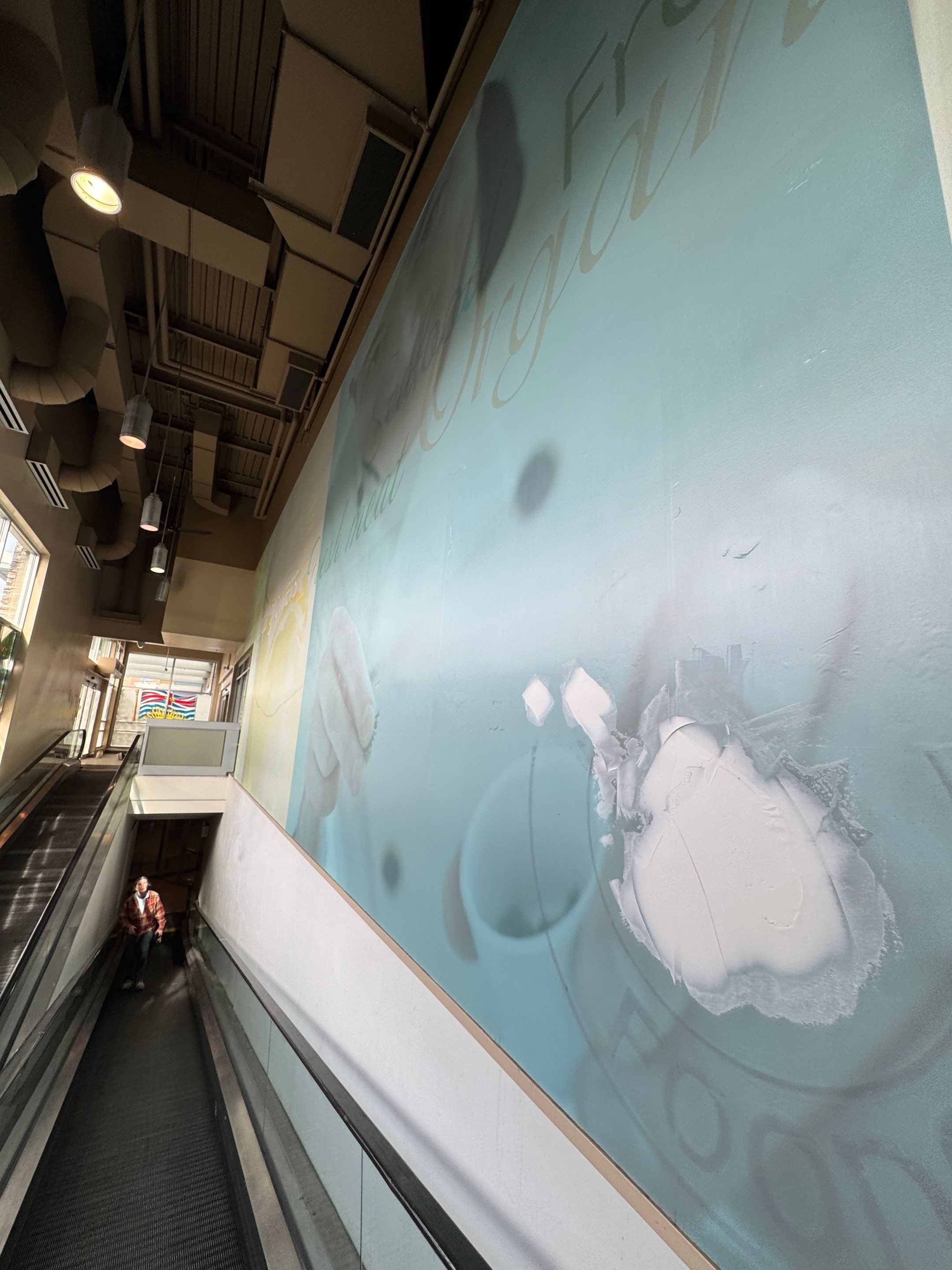 Commercial Prime & Paint Project by YVR Construction Group
