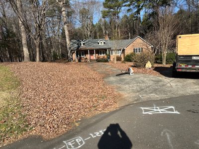 Leaf removal from gutters and yard