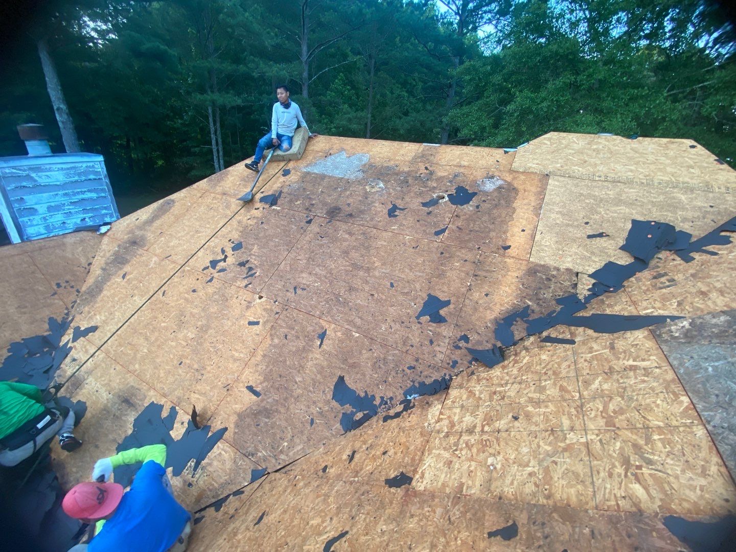 Rotten Wood by Roof Bullies