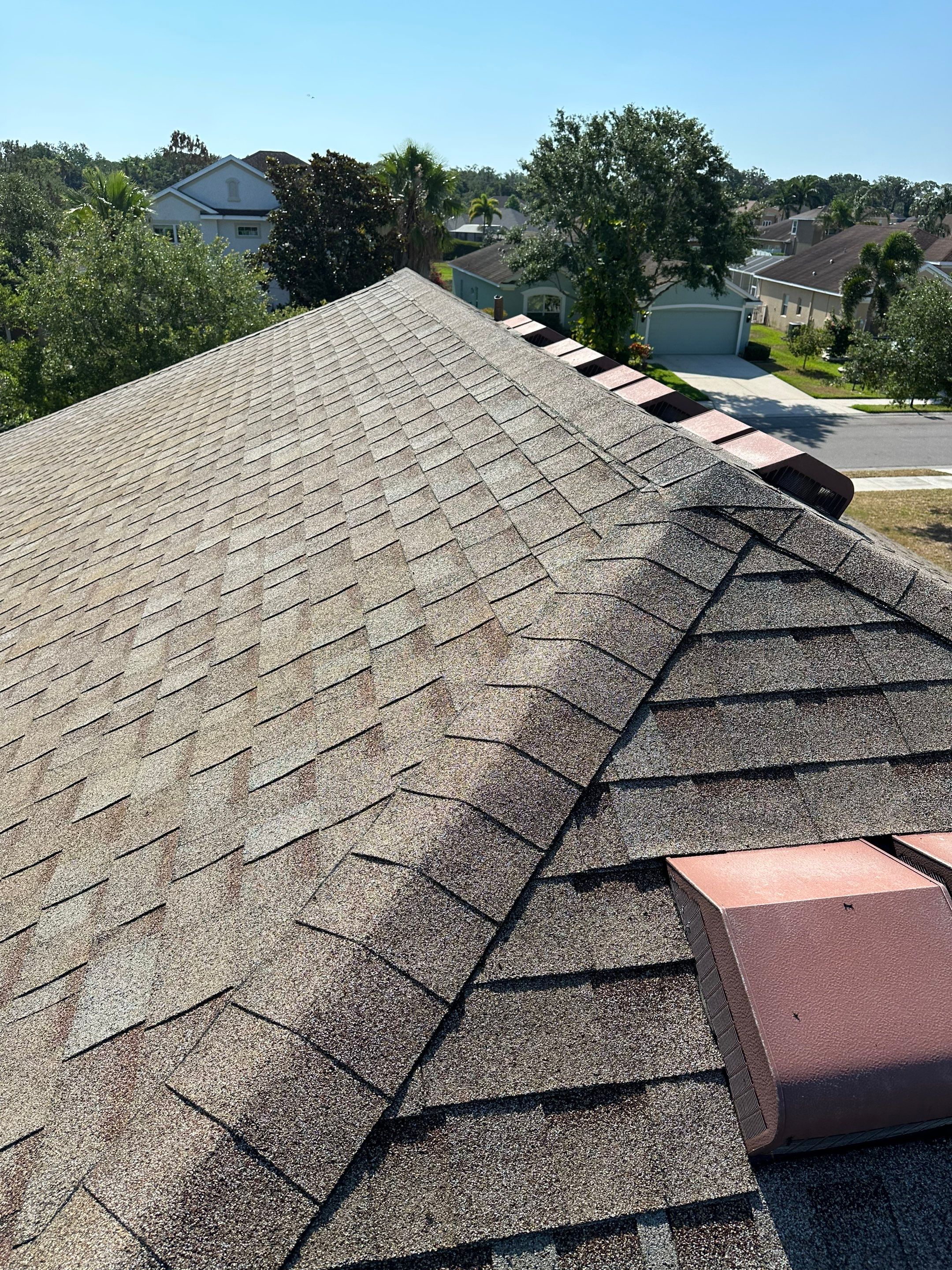 Asphalt Shingle Roof Soft Wash Cleaning & Concrete Pressure Washing in CopperStone Community, Parrish, FL by Sunshine AquaWash