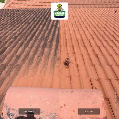 Professional Tile Roof Cleaning for Two-Story Kissimmee Home