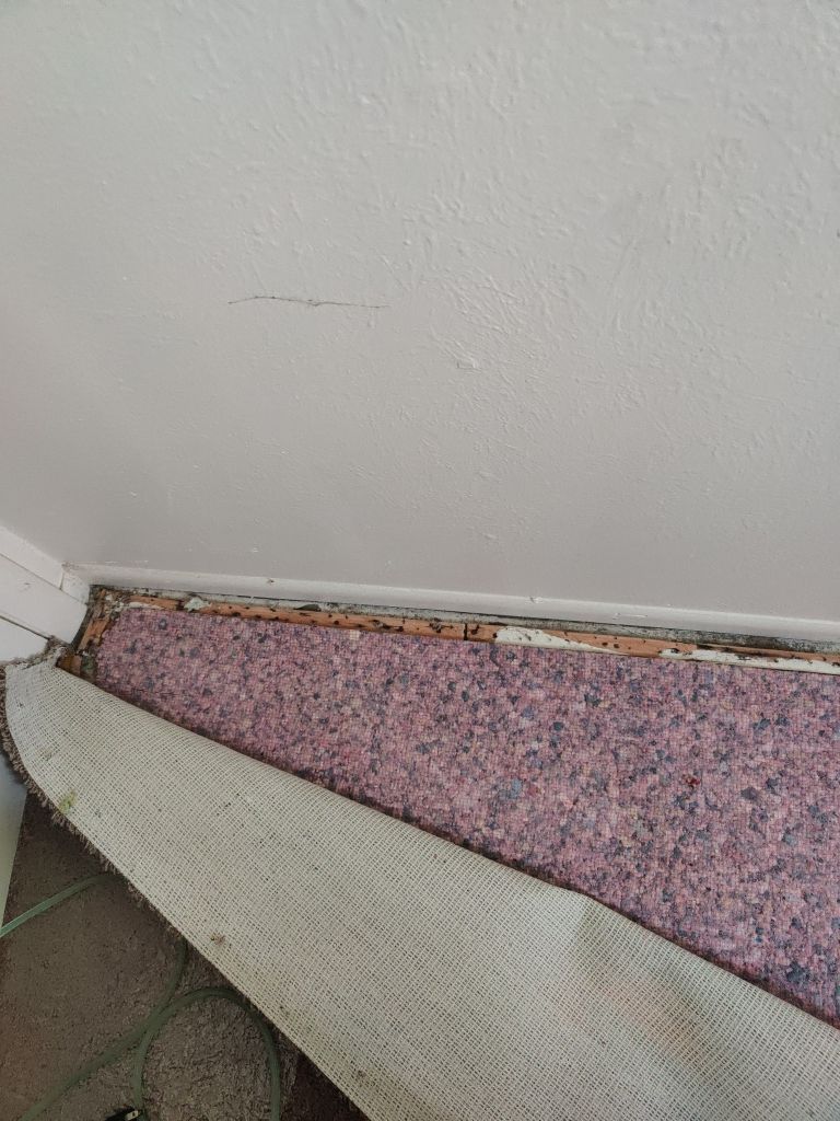 Water Damage by Accountable Home Services
