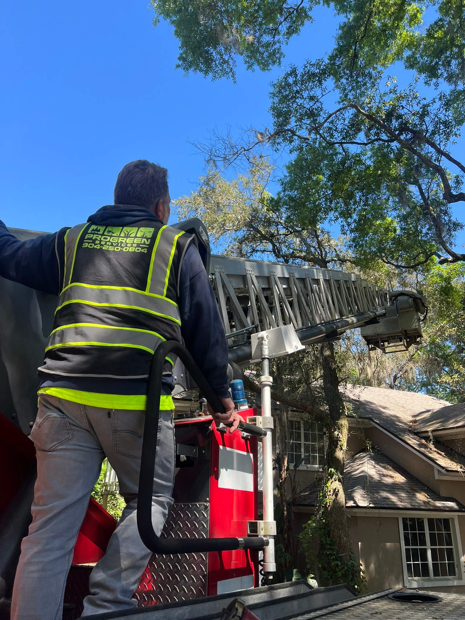 Tree Trimming | Hidden Hills by ProGreen Services