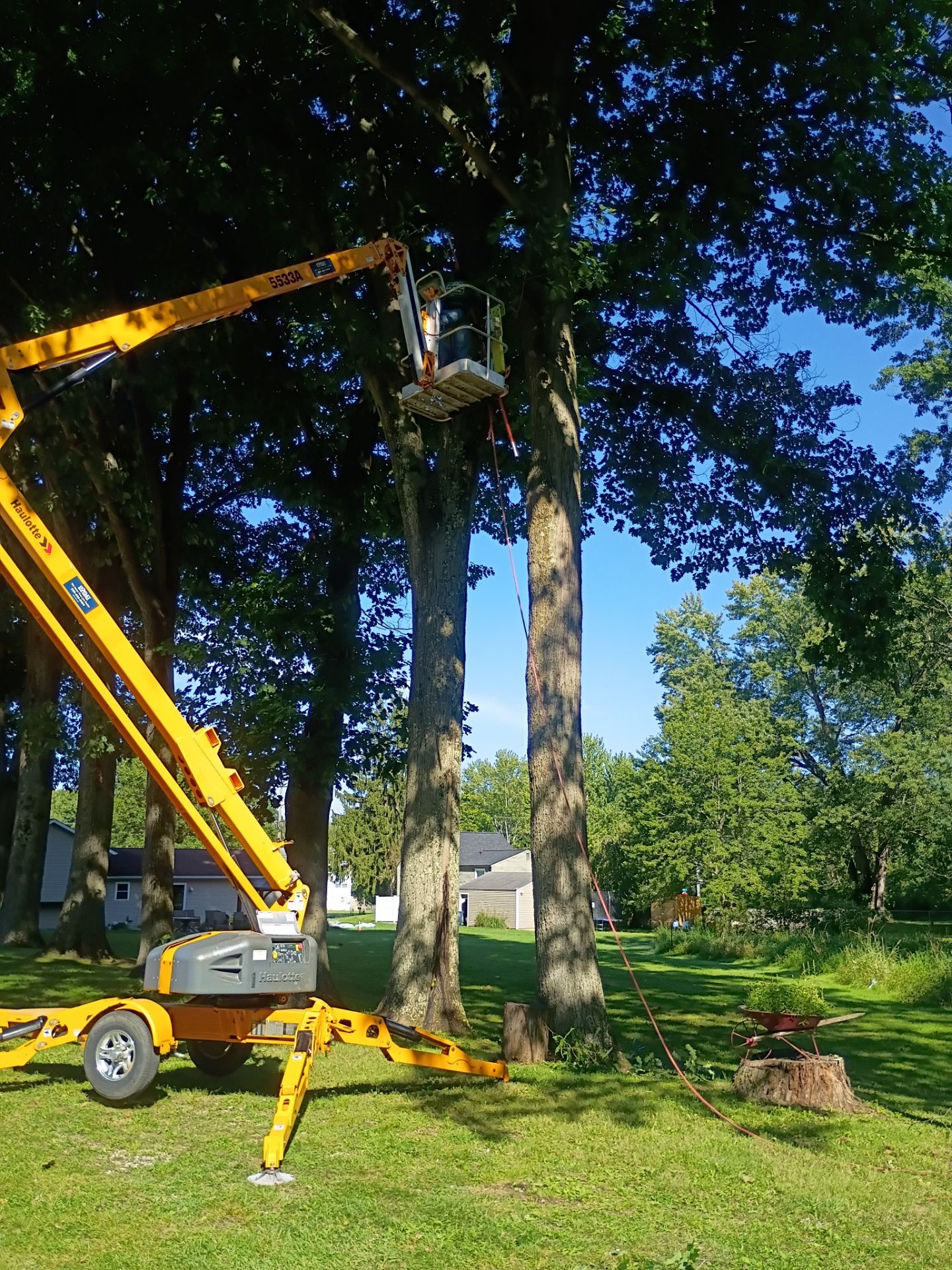 Tree Trimming & Tree Removal in Akron Ohio by Mike Jones & Sons Tree Service LLC 