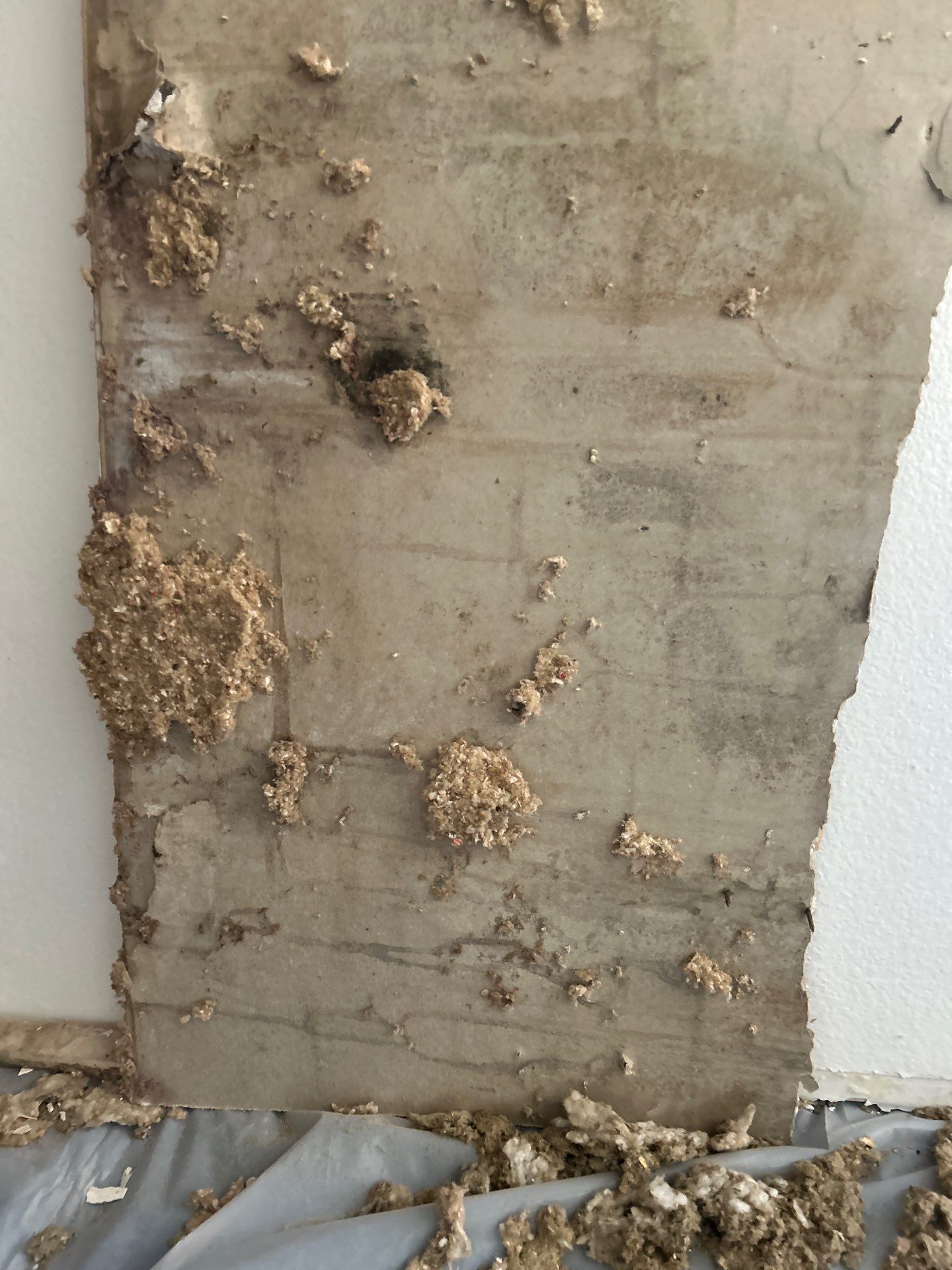 Commercial Storm Damage Restoration by Ampm Restoration Services