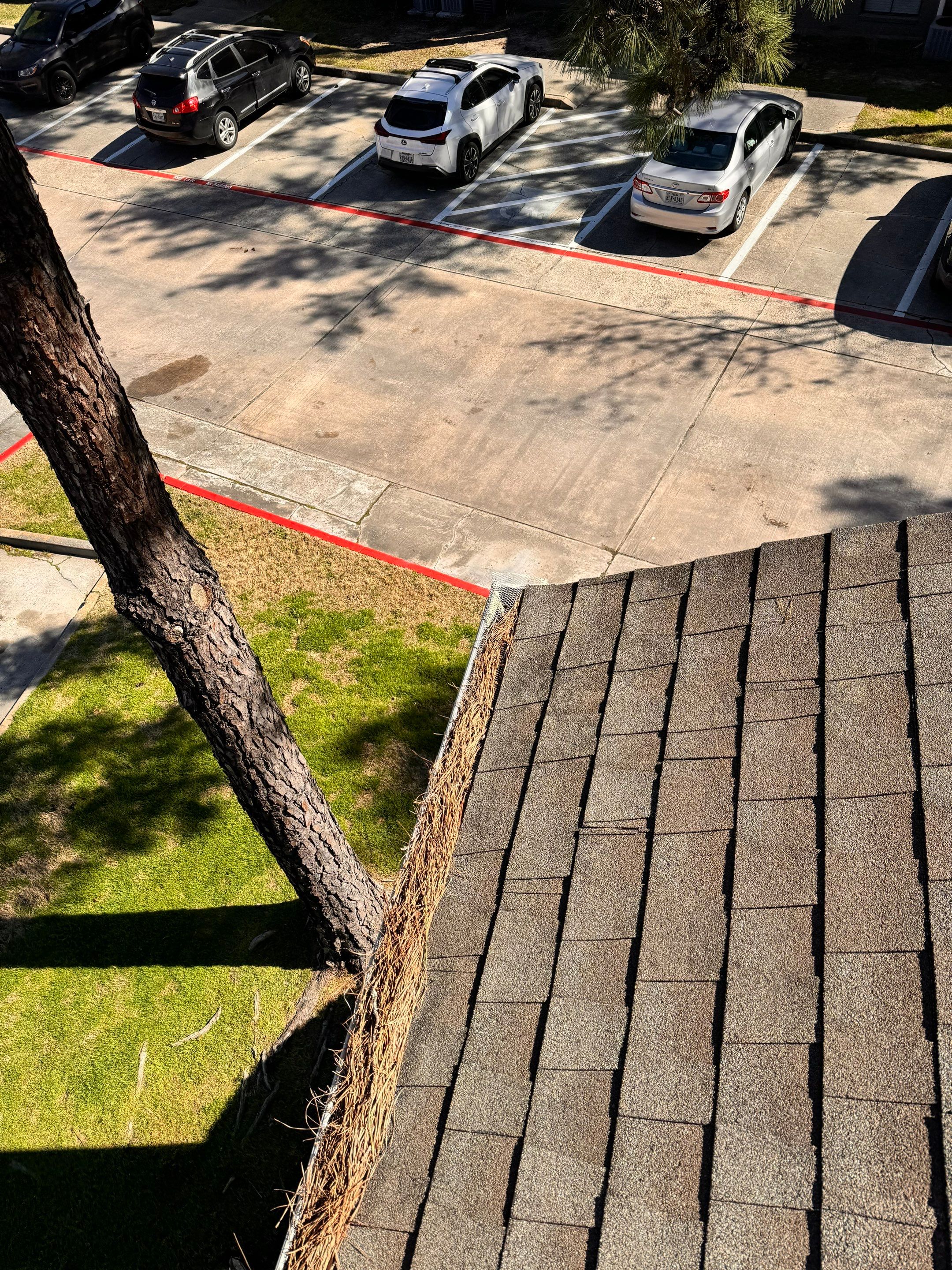 Commercial gutter cleaning The Woodlands & Conroe before photo with filled gutters