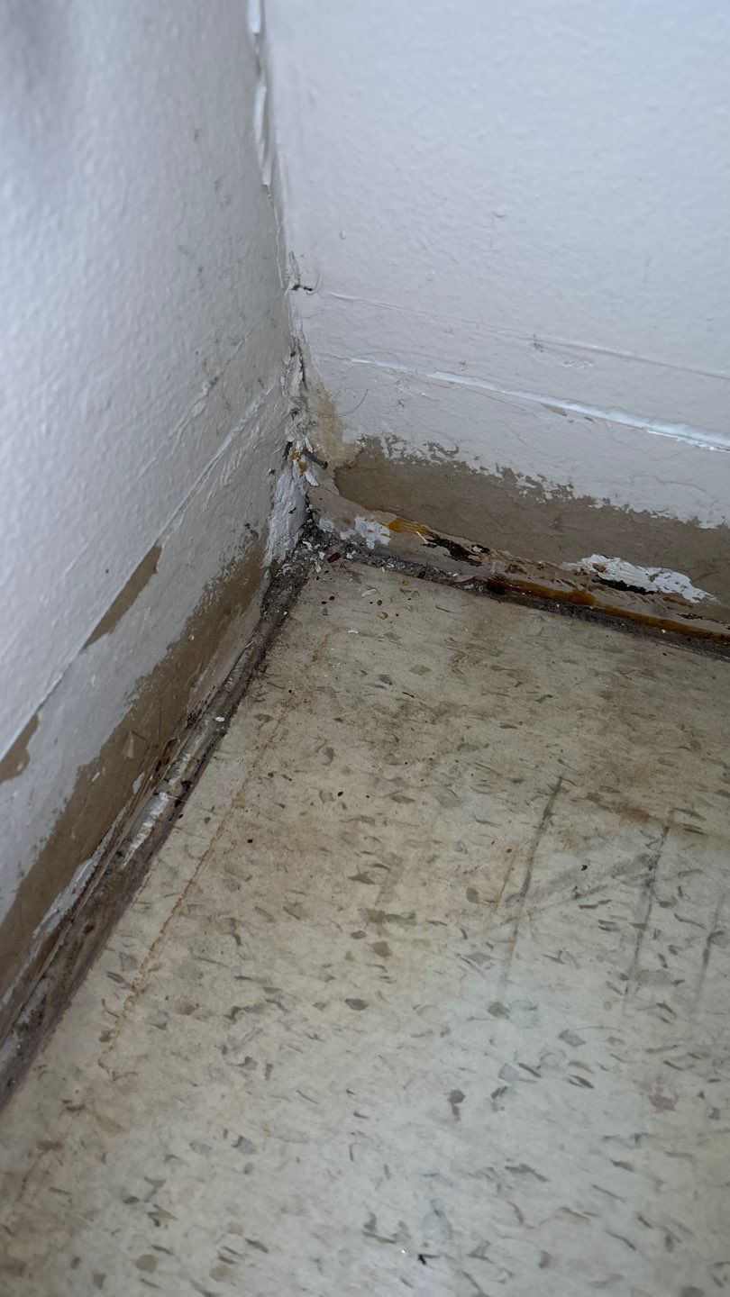 Mold Remediation by Accountable Home Services
