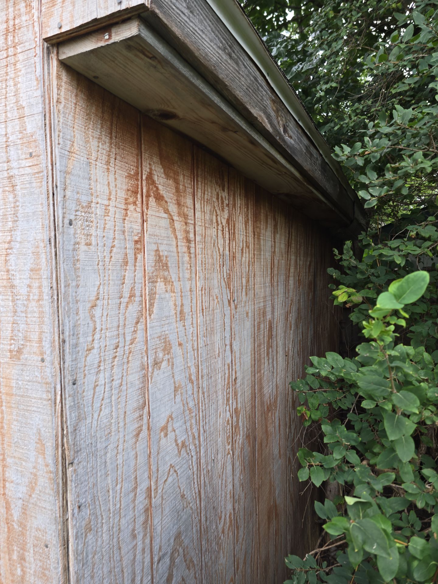 Shed Transformation – Roof & Exterior Upgrade by Johnny Five Construction