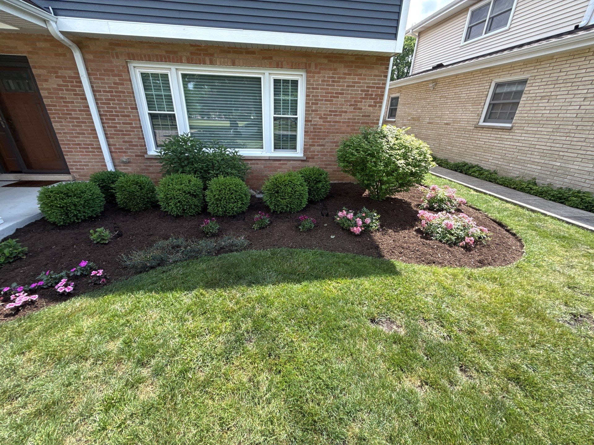 Clay U. - Arlington Heights, IL by A&N 