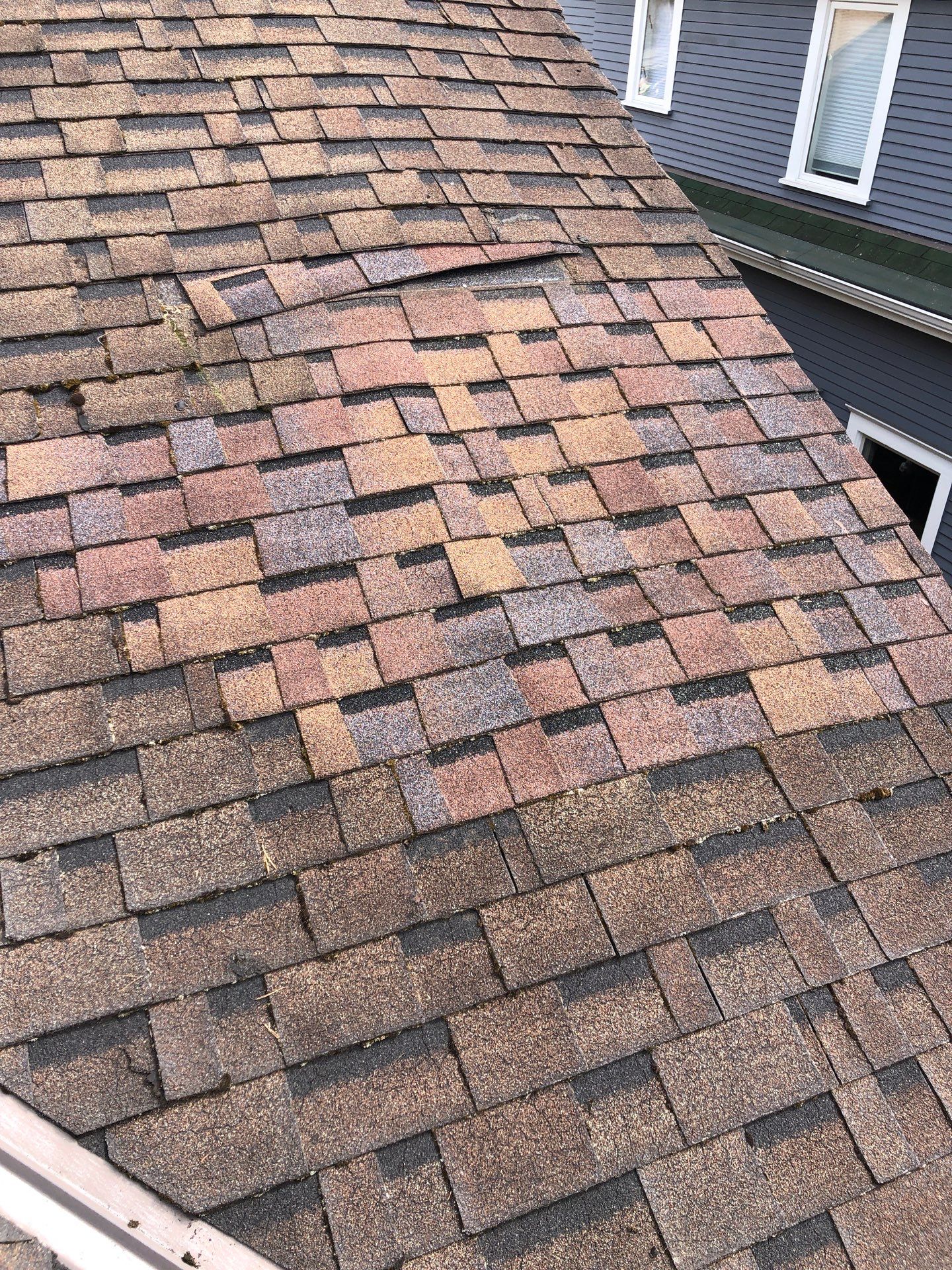 Project in Seattle by Connolly Construction Company