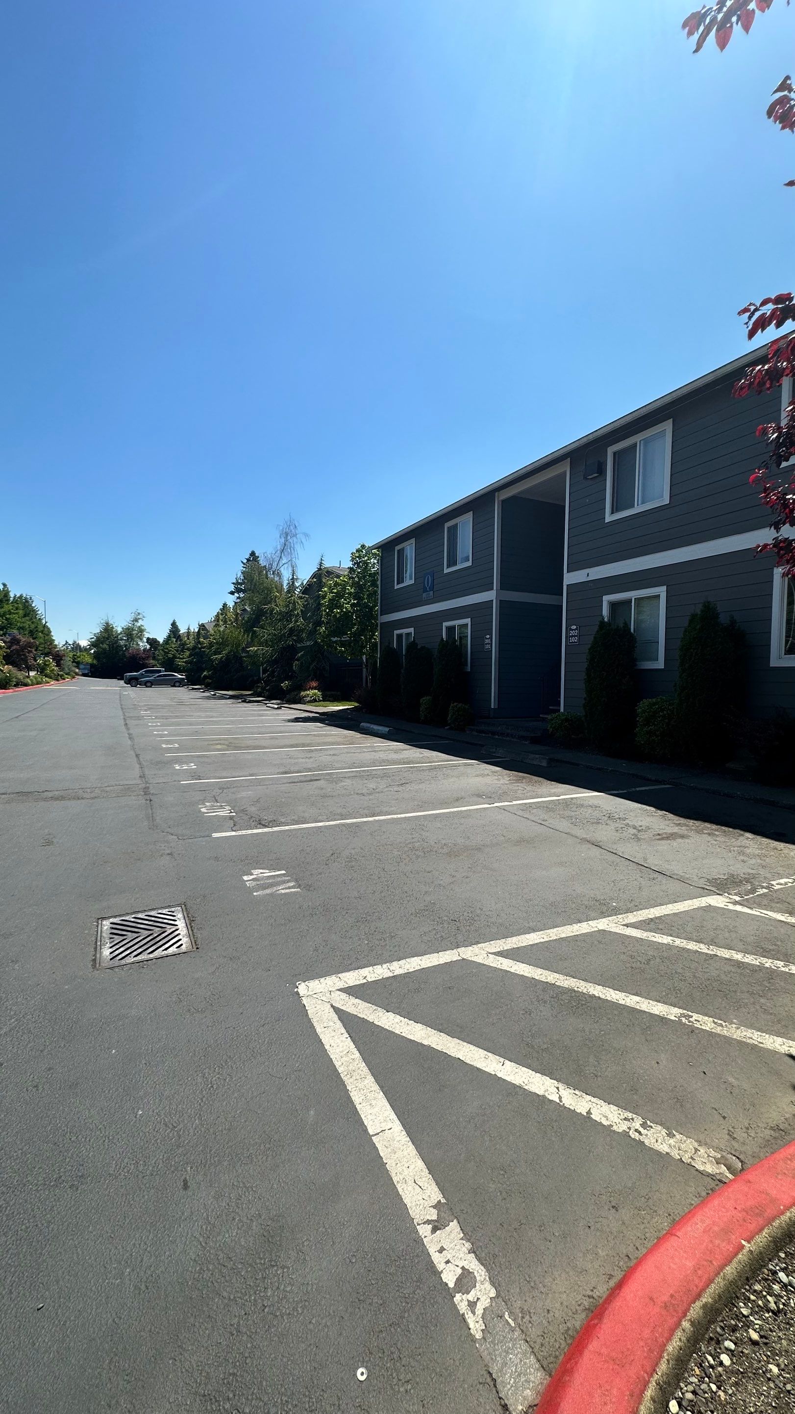 Chaz | Driveway Repave, Asphalt Project  by Jireh Asphalt & Concrete Inc 