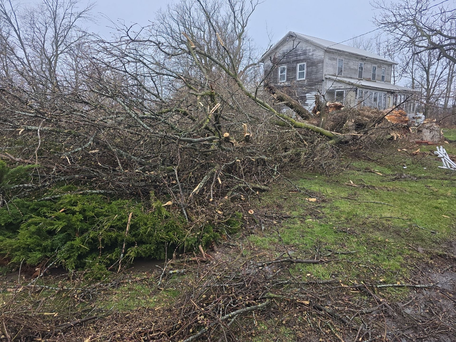 Emergency Job using Bobcat by Treeman Tom LLC