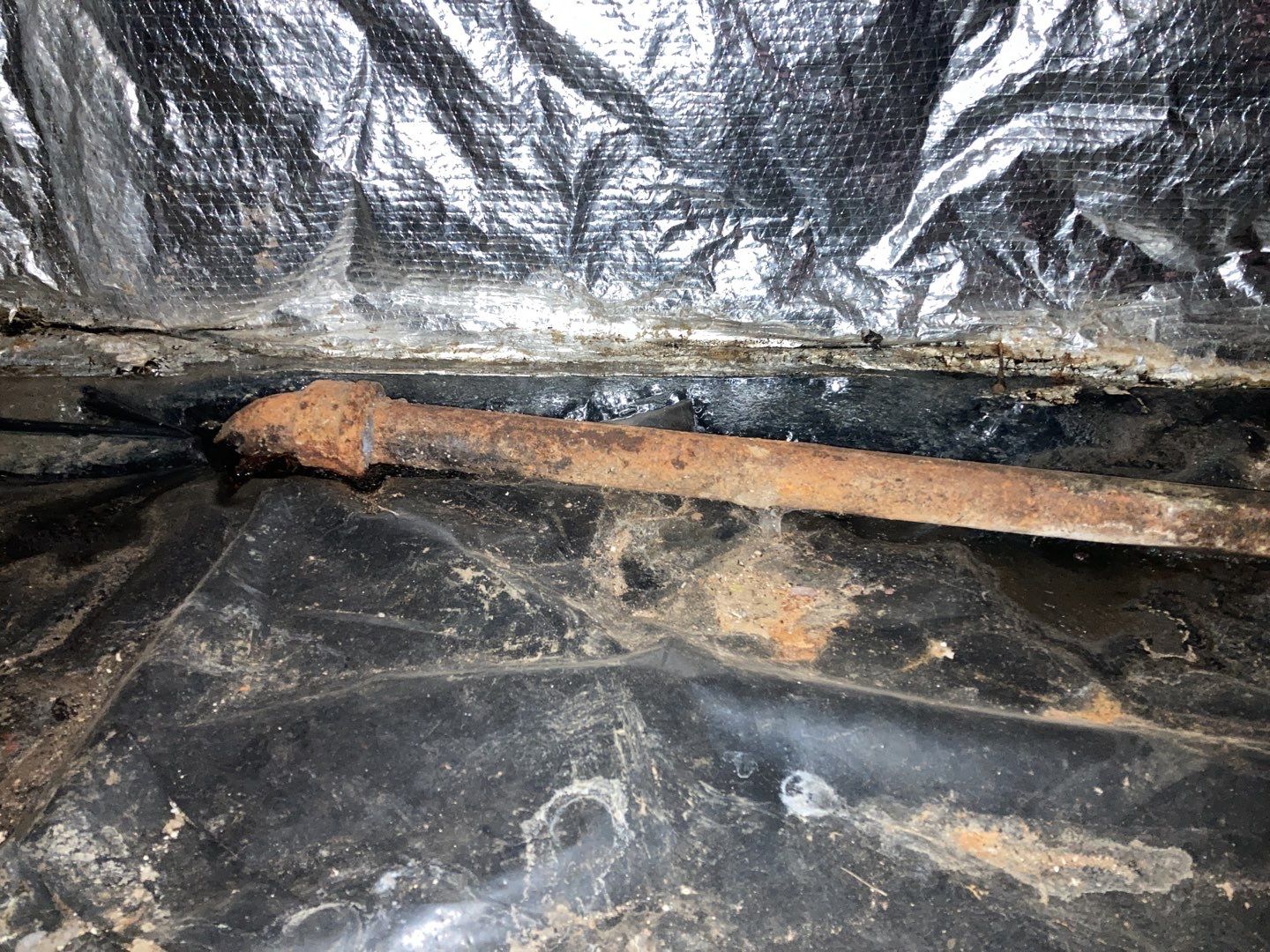Crawl Space Cleanup  by Accountable Home Services
