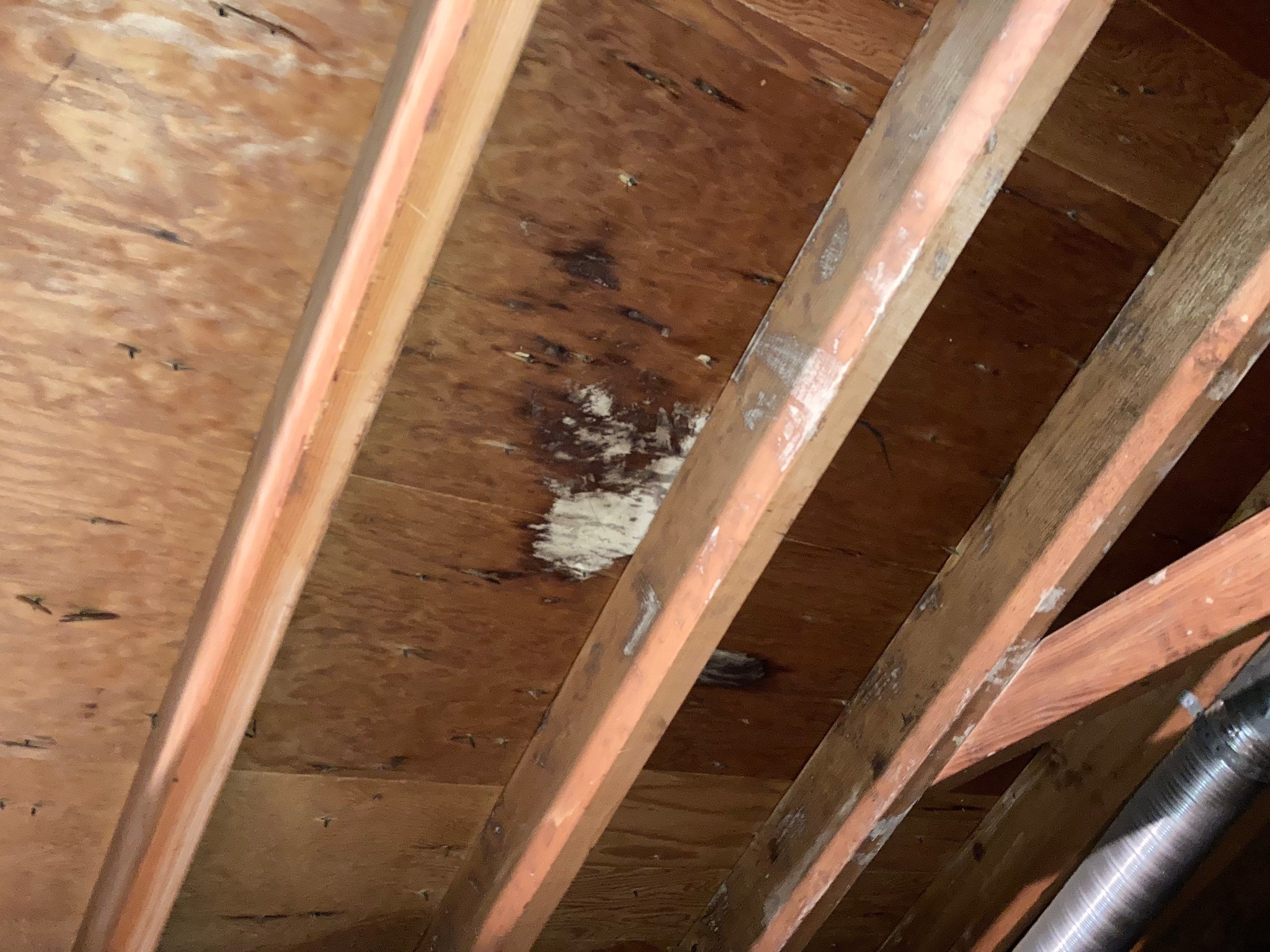 Residential Roof Replacement using Owens Corning, Desert Rose by Absolute Roofing and Construction