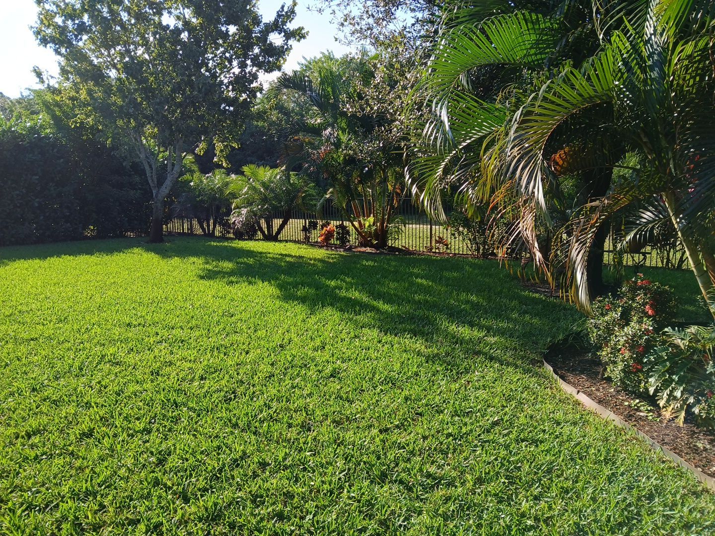 🌿✨ “Snip, Tip & Total Plant Care Bliss” in Palm City ✨🌿 by Alpha Zeta Enterprises Inc