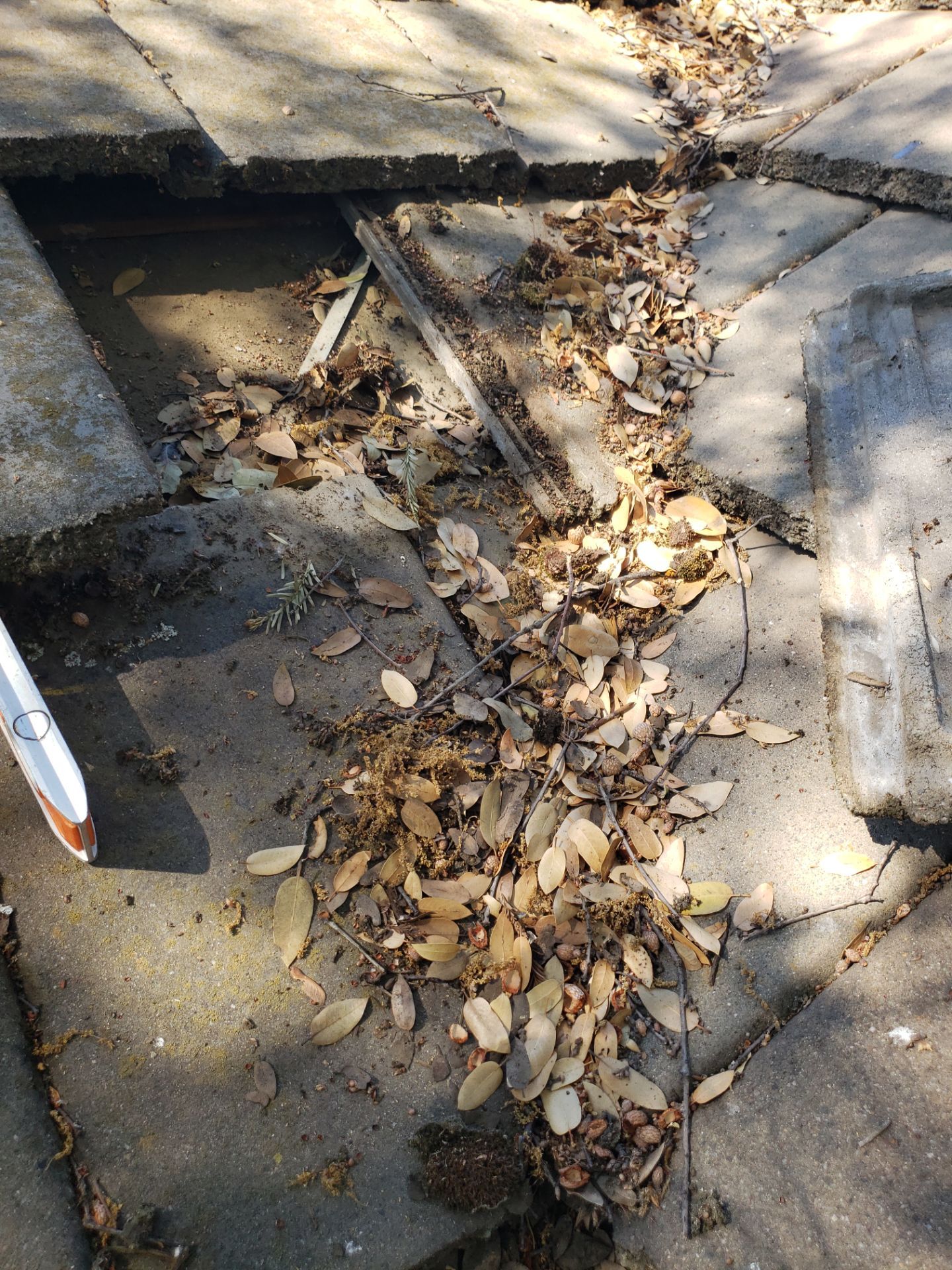 Roof Restore using Valley Armor and Tile Roof Cleaning by Byers Enterprises 