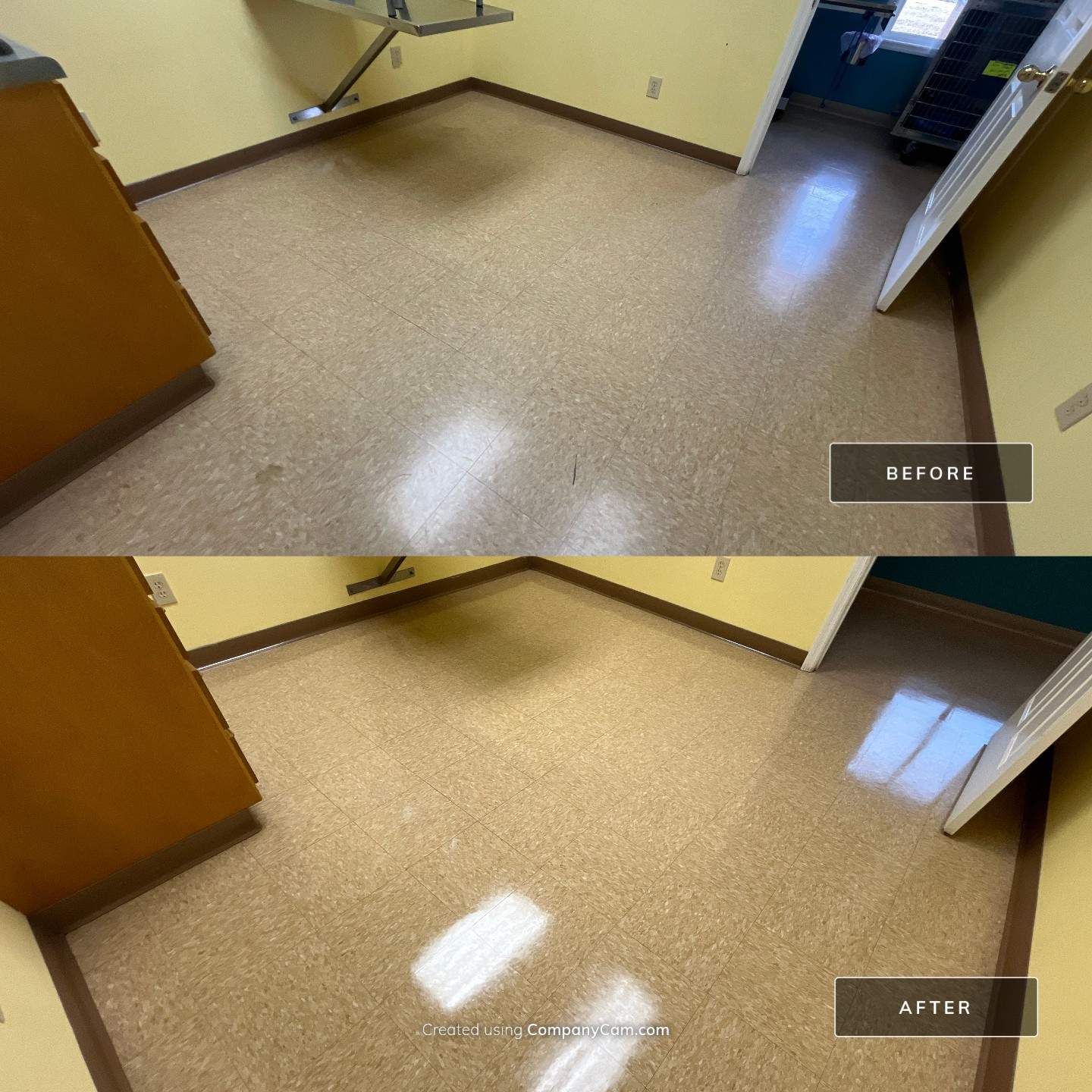 Highland Rim Animal Clinic by Mr. Mister Power Washing