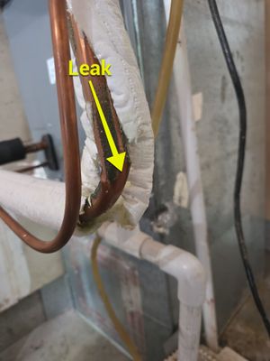 Project in Vancouver