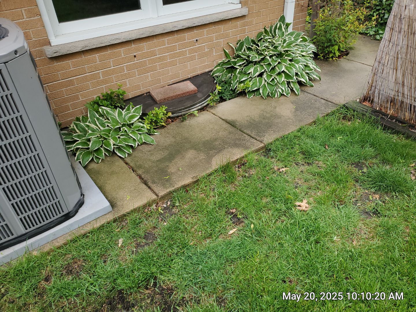 Brick paver cleaning  by Northern Power Washing LLC.
