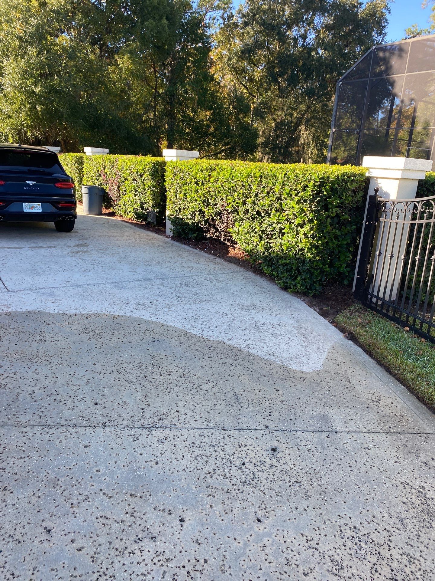Deerwood Resident | Palm Trimming & Ground Cover by ProGreen Services