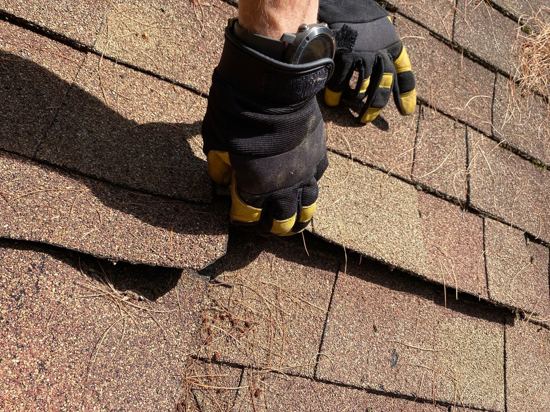 Roof Replacement – Rosalie Brown, MA by Mighty Dog Roofing of Greater Middlesex County