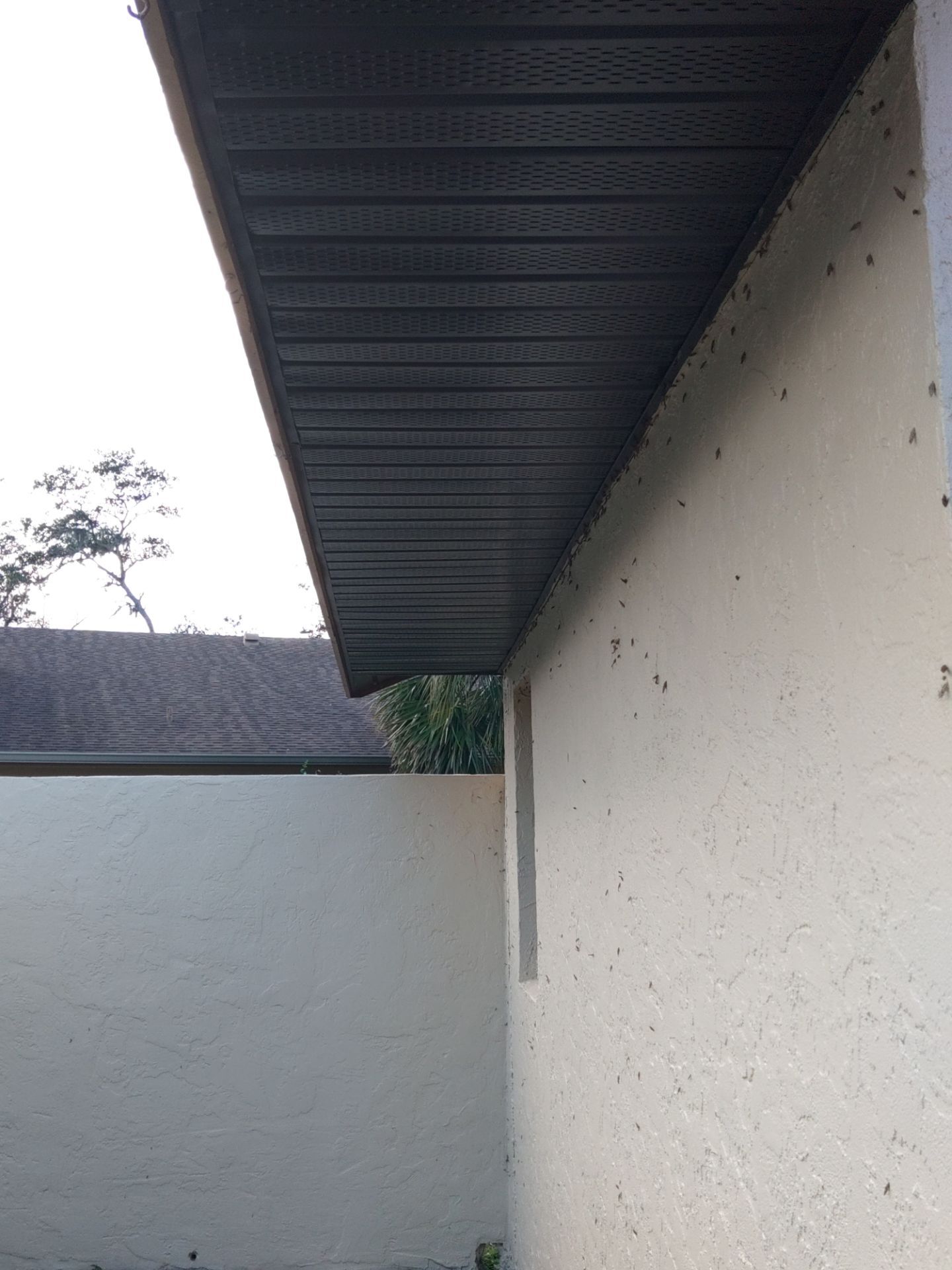 Bronze Soffit and Fascia in Sarasota FL by Gutter Professors