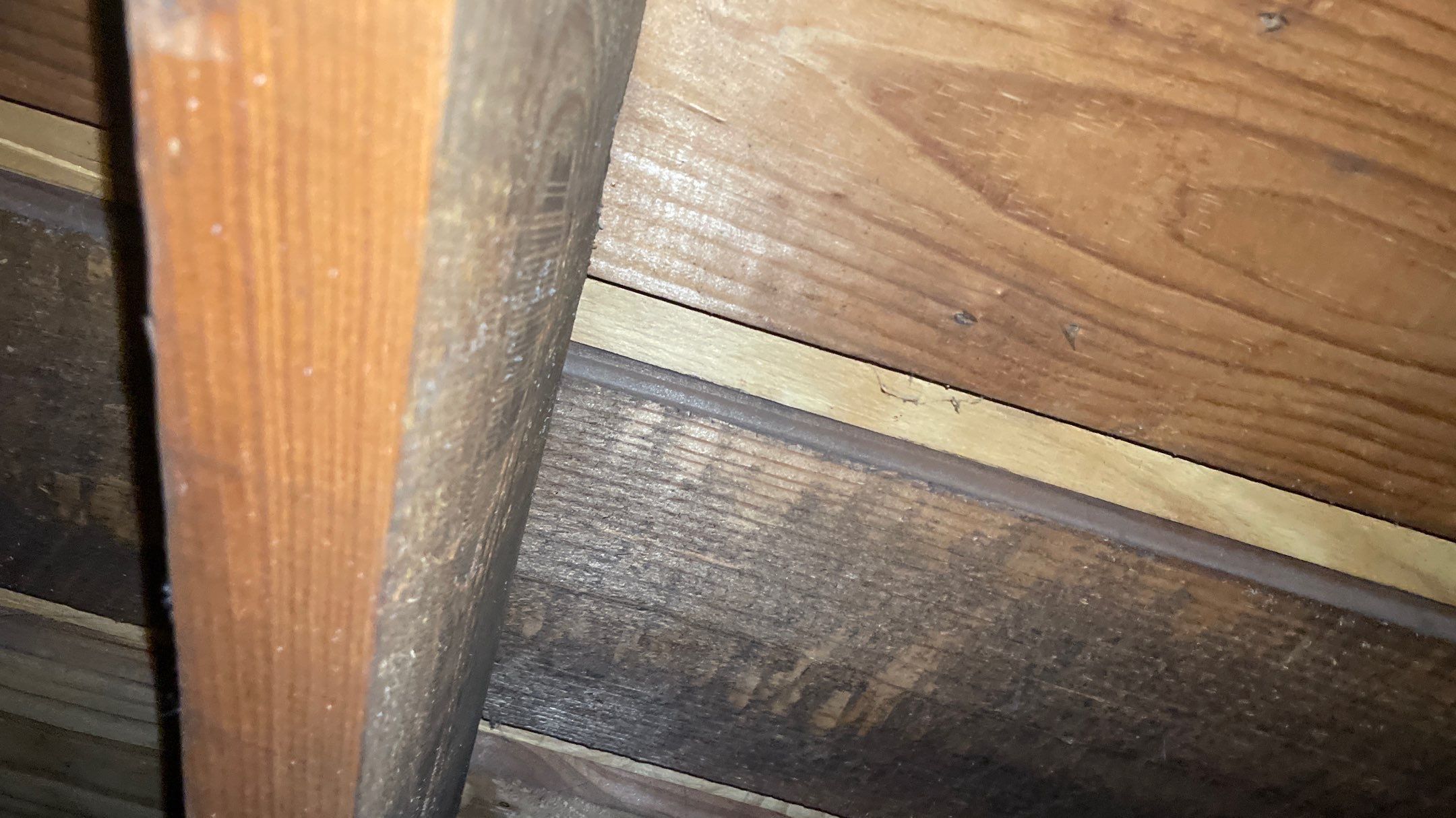 Roof Replacement using Owens Corning Summer Harvest by 180 Contractors