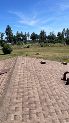 Paradise Shingle